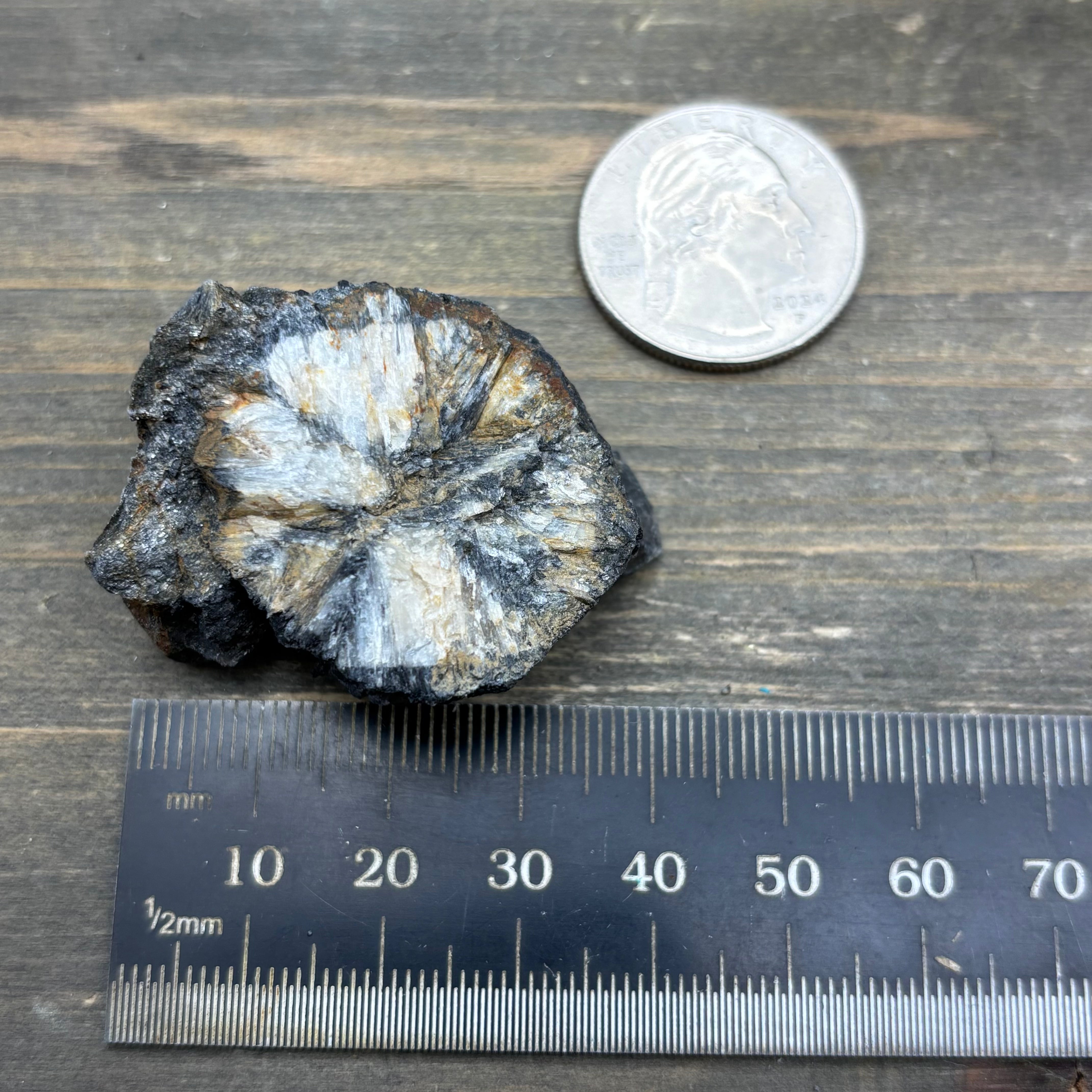 Siberian Chiastolite - 017