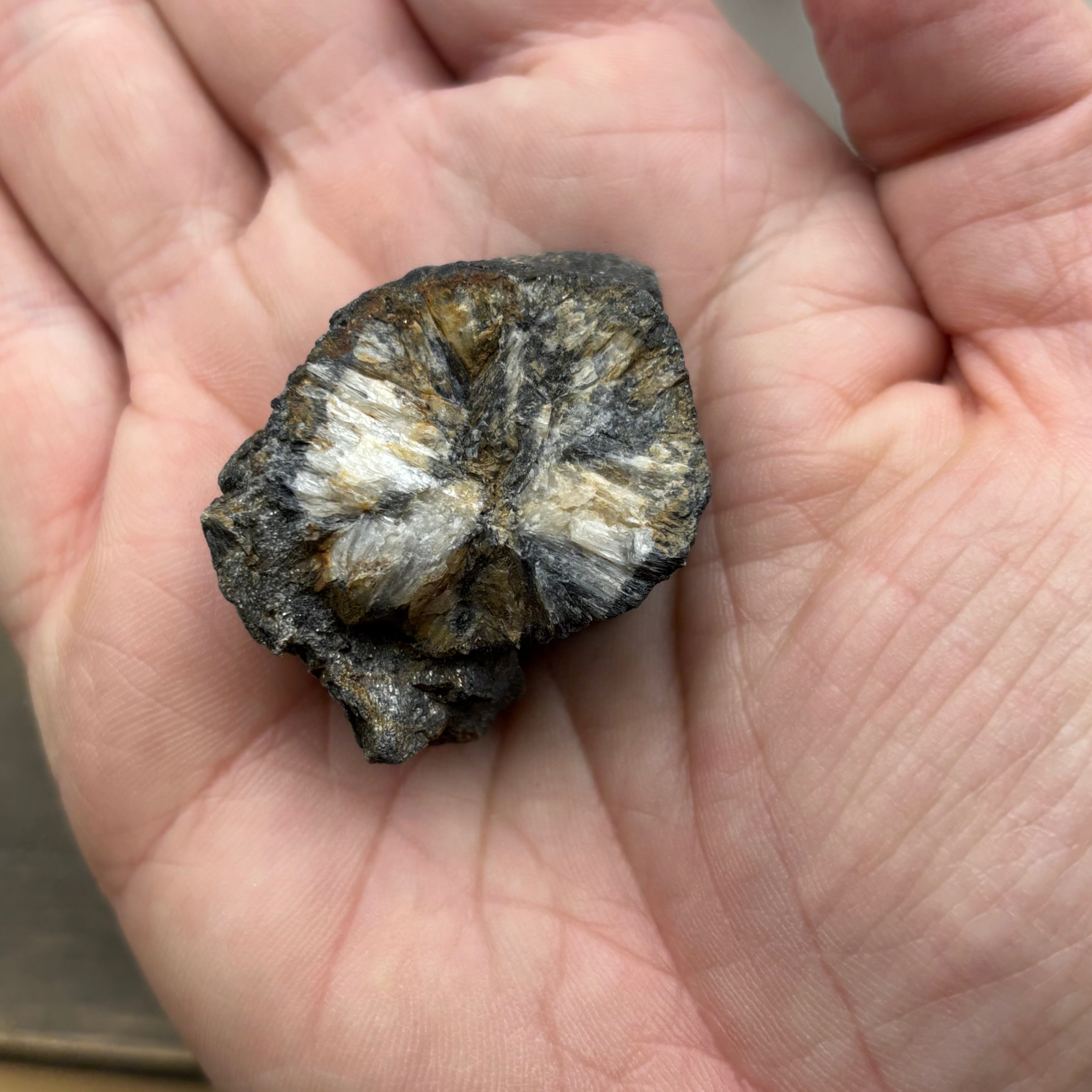 Siberian Chiastolite - 017