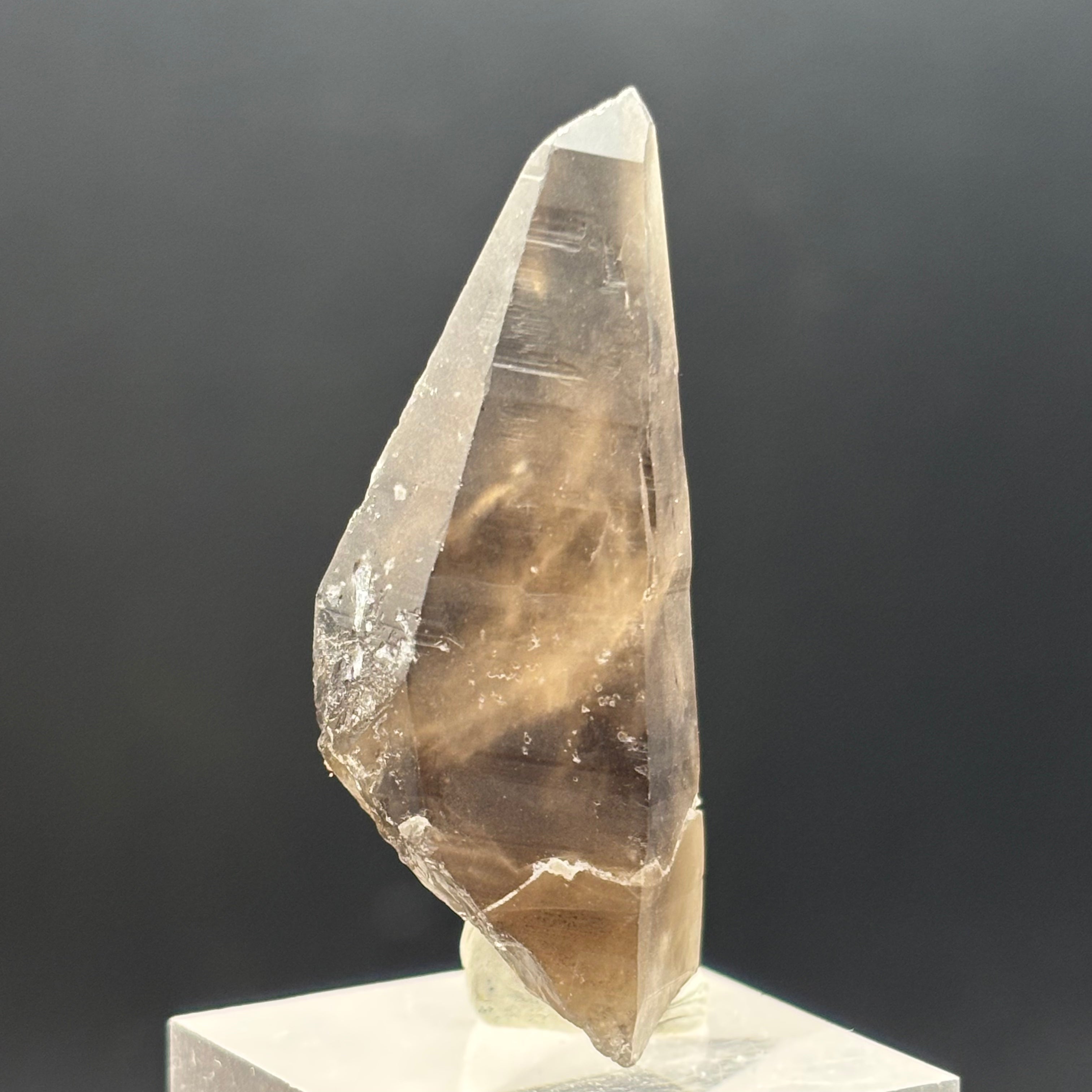 Dark Smoky Quartz Whole Crystal - 016