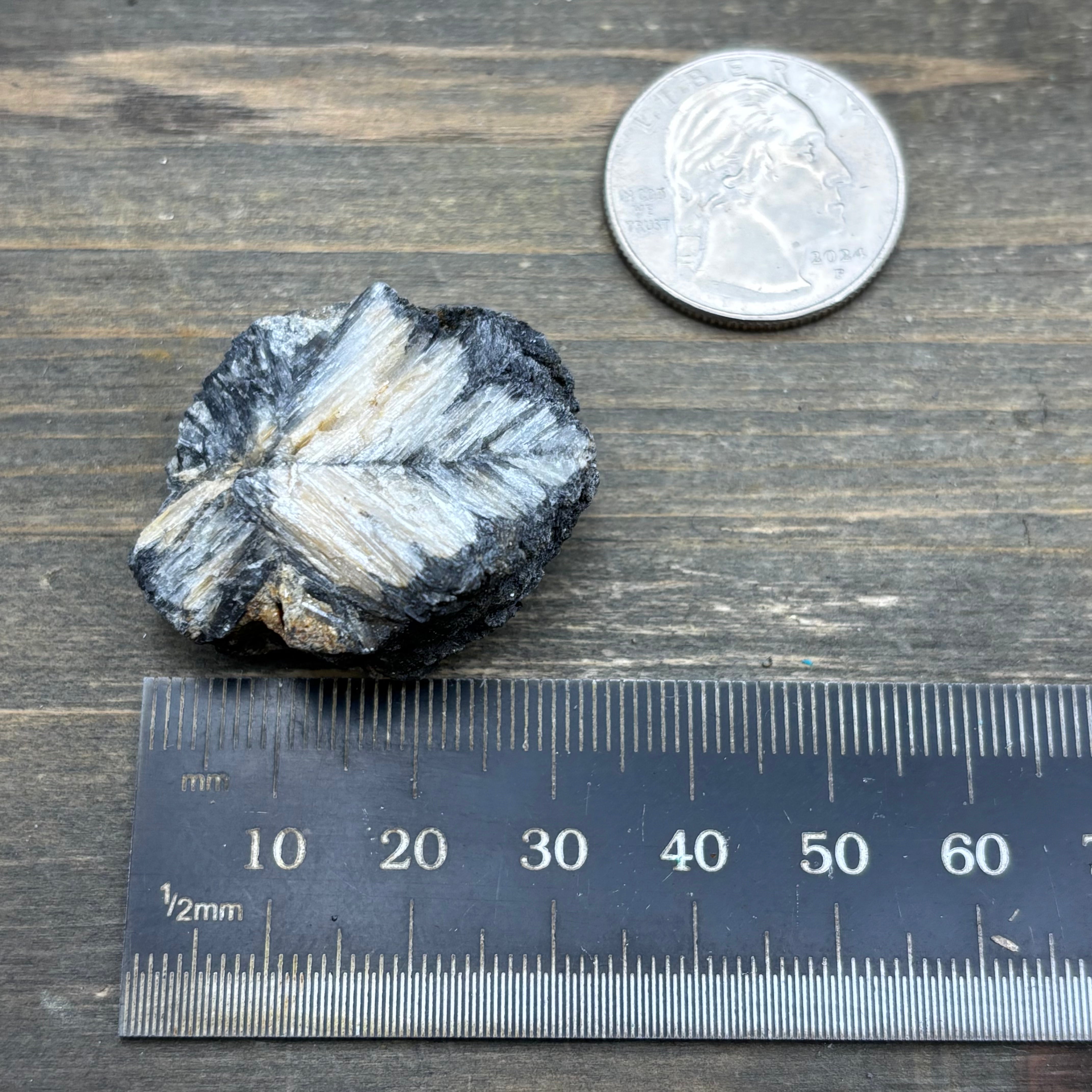 Siberian Chiastolite - 018