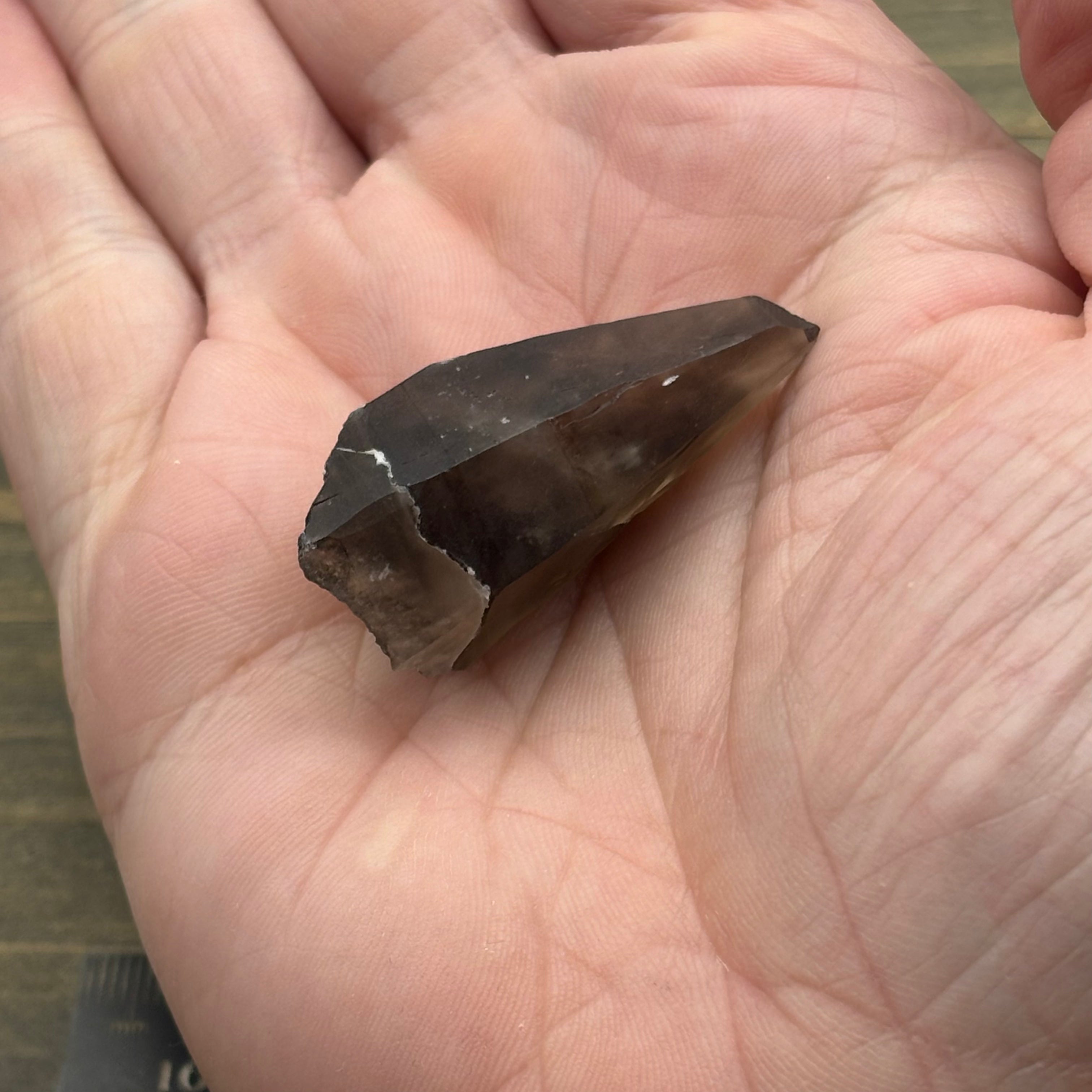 Dark Smoky Quartz Whole Crystal - 016