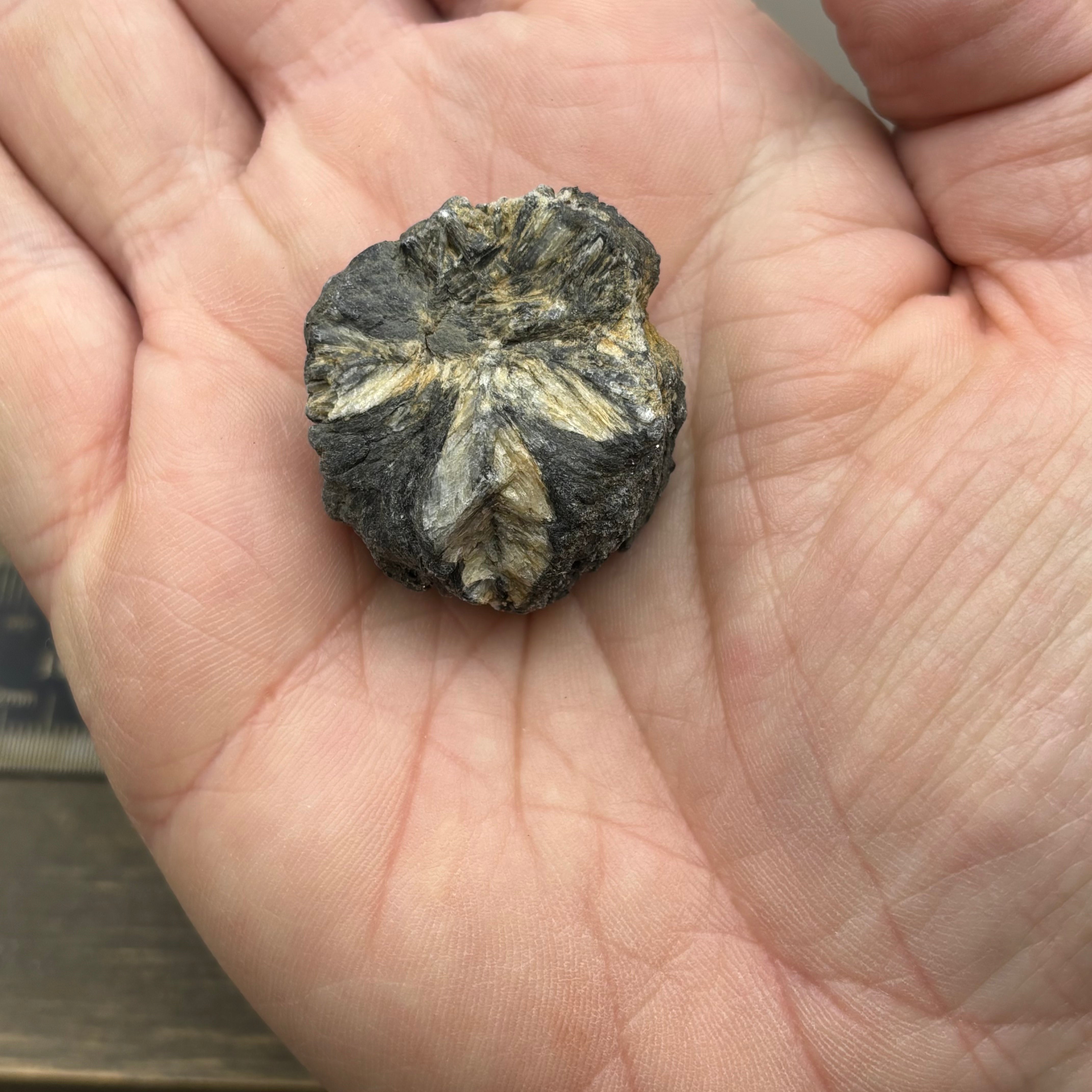 Siberian Chiastolite - 018