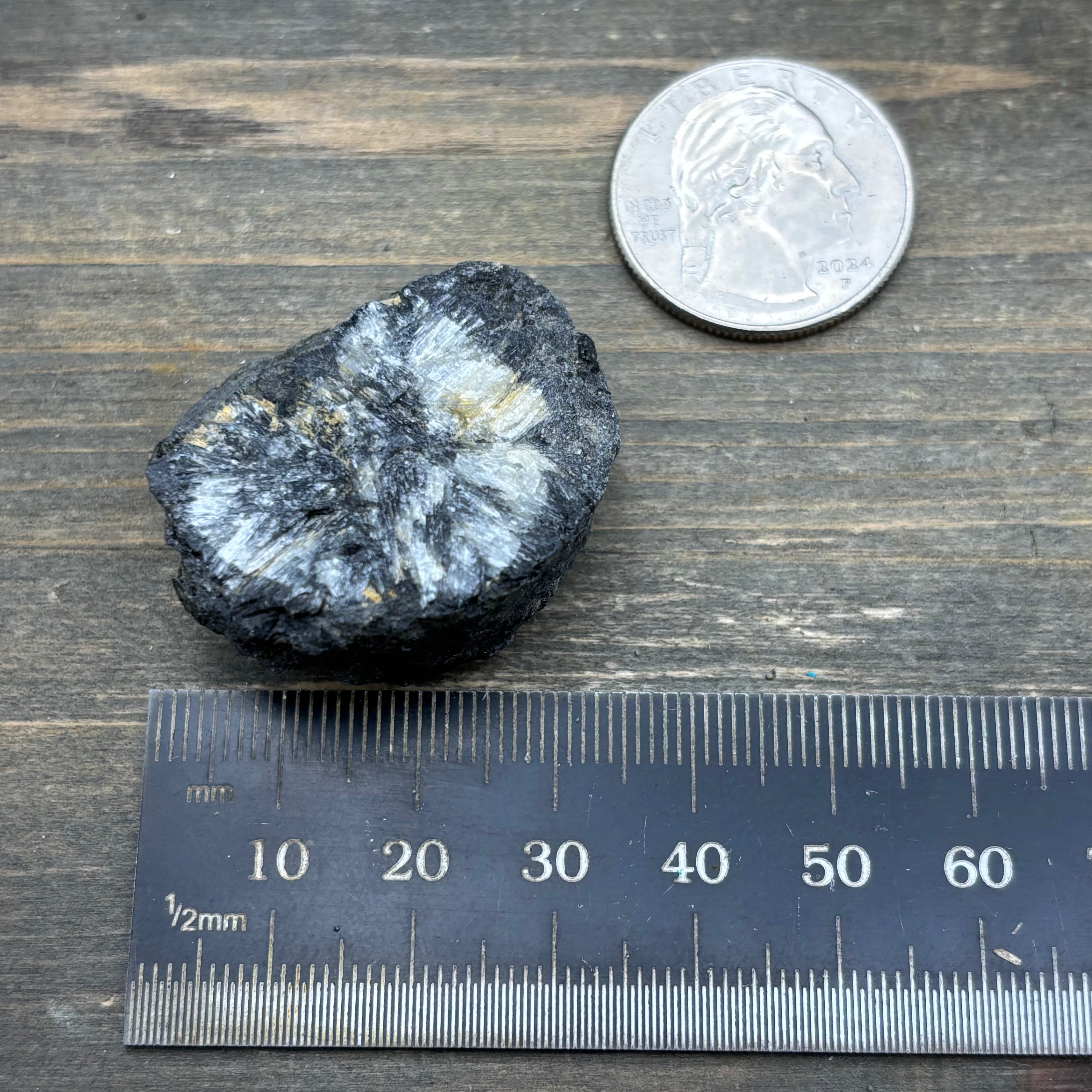 Siberian Chiastolite - 019