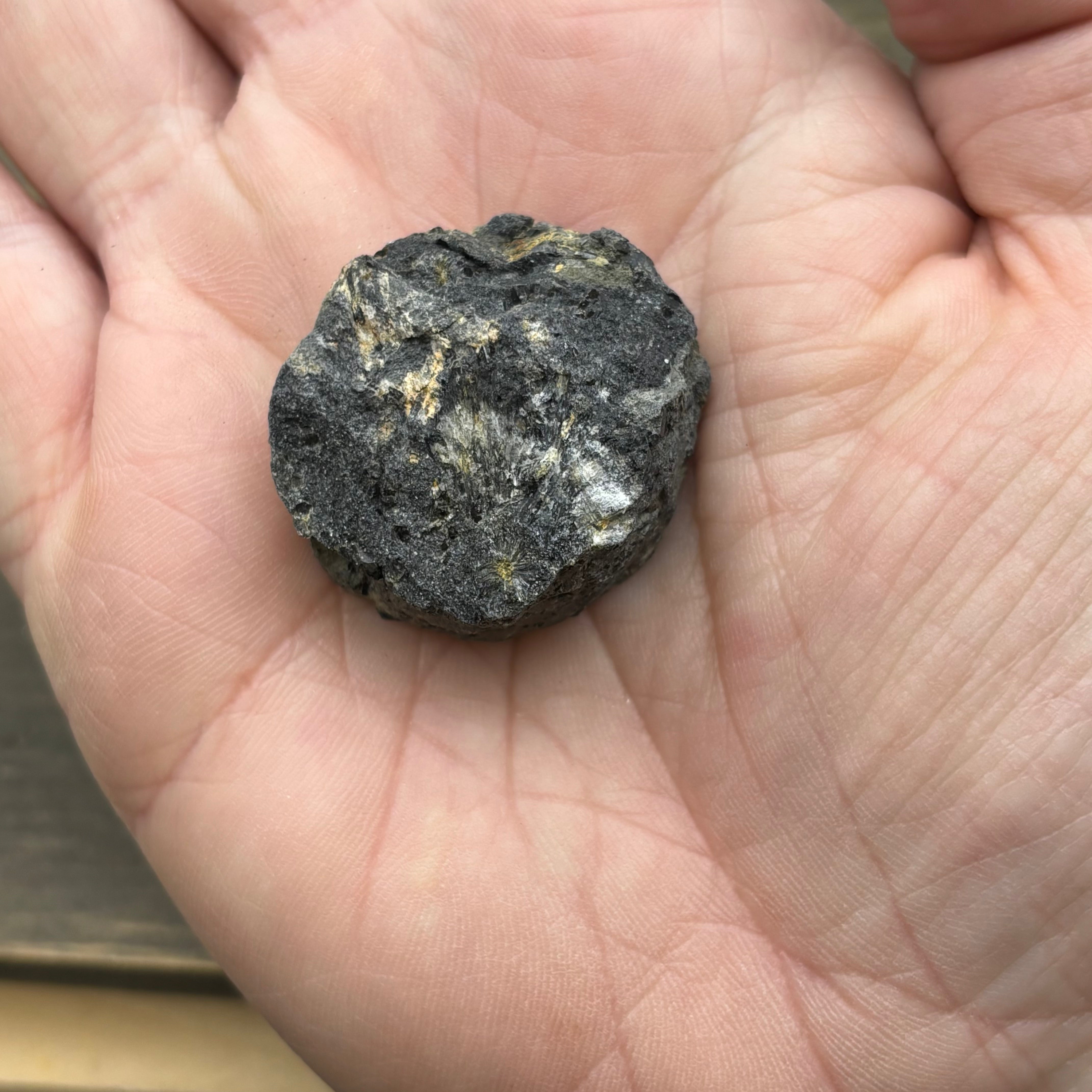 Siberian Chiastolite - 019