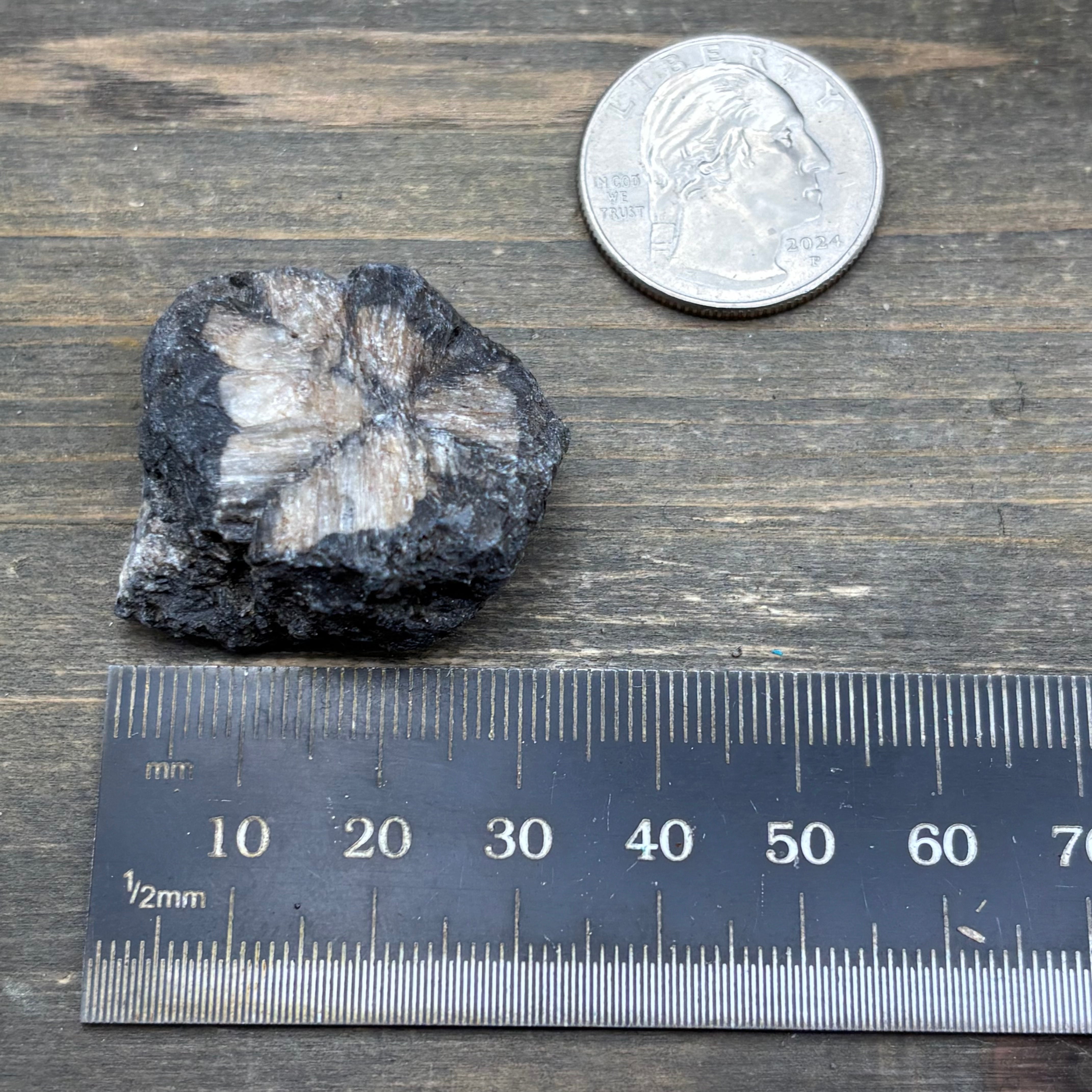 Siberian Chiastolite - 020