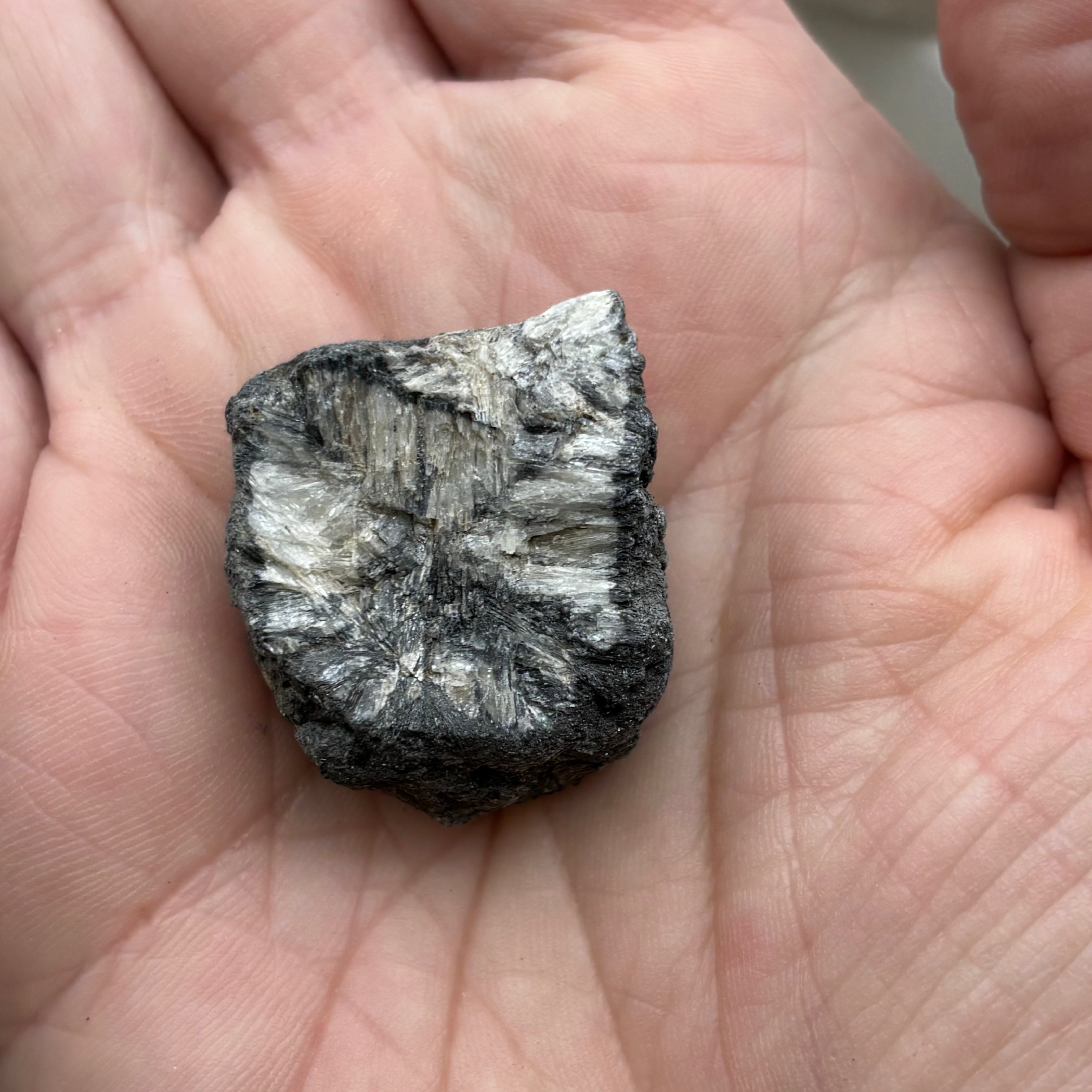 Siberian Chiastolite - 020