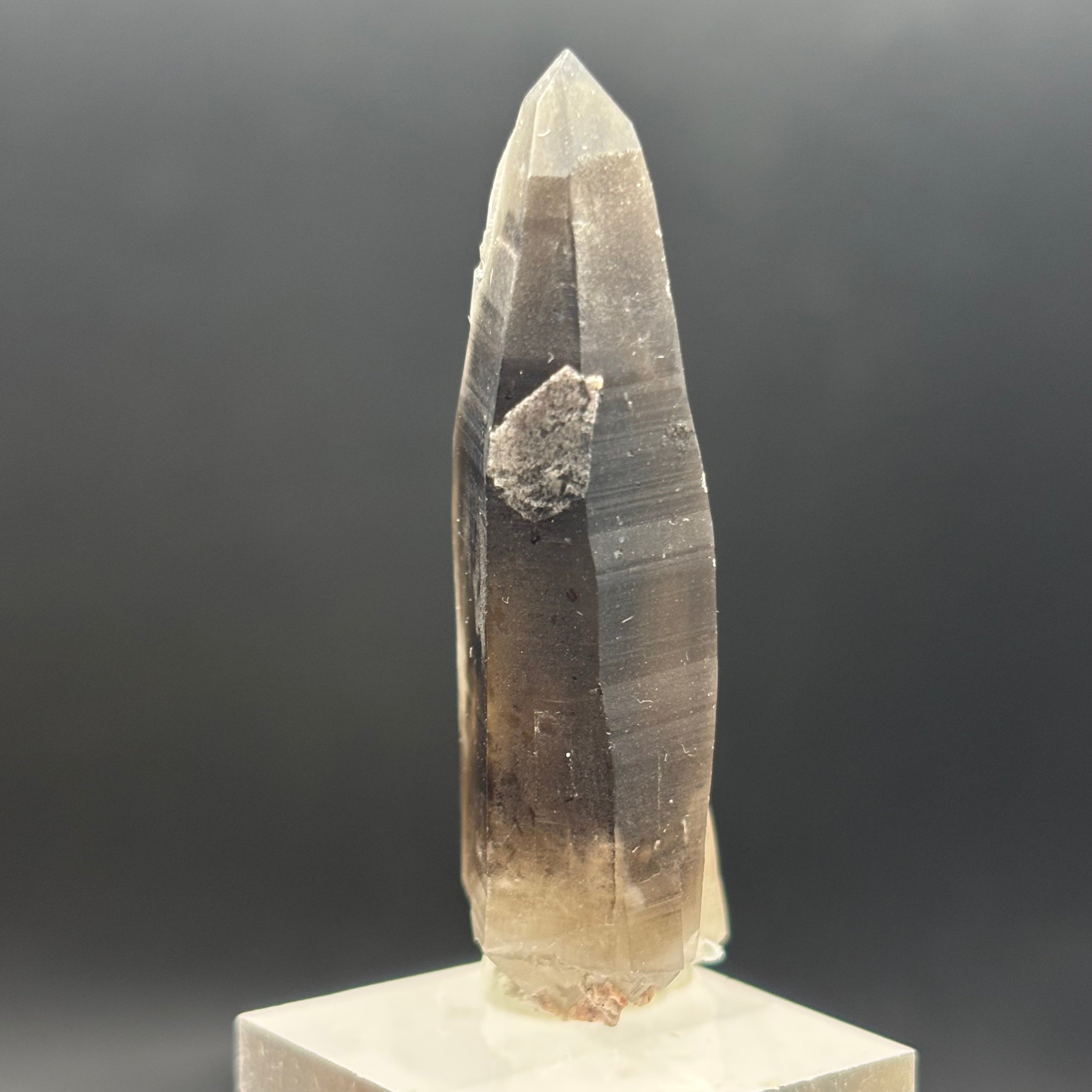 Dark Smoky Quartz Whole Crystal - 019