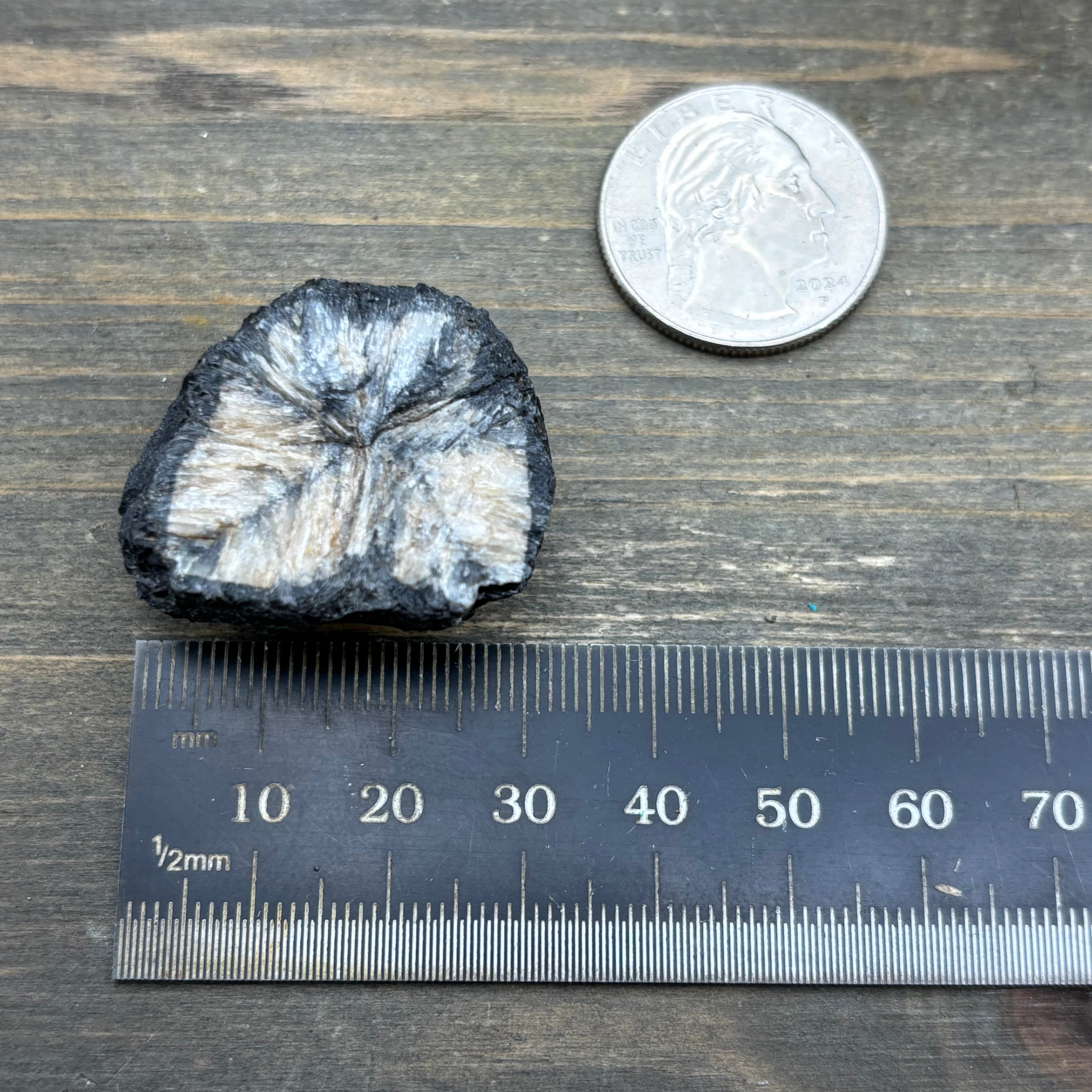 Siberian Chiastolite - 021