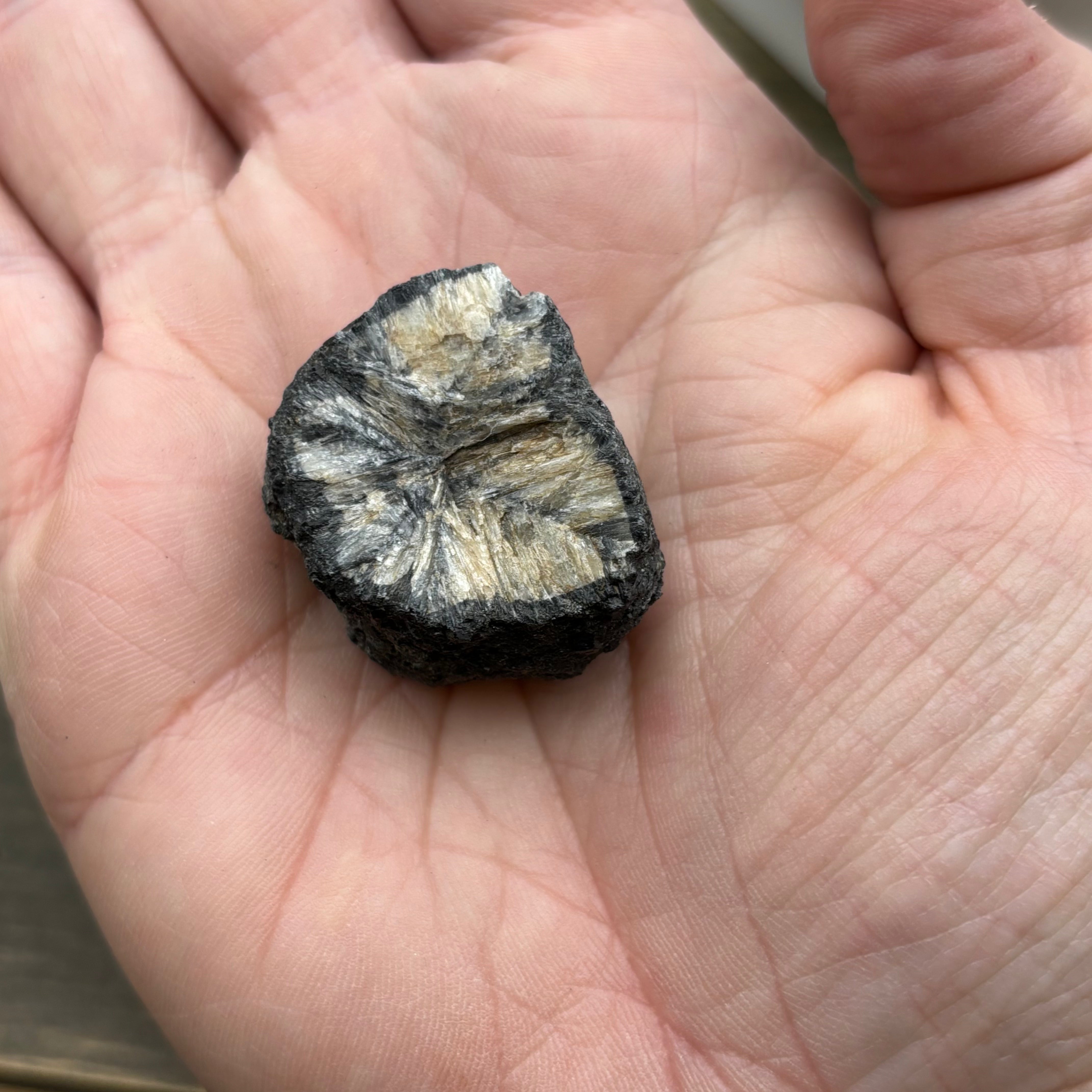Siberian Chiastolite - 021