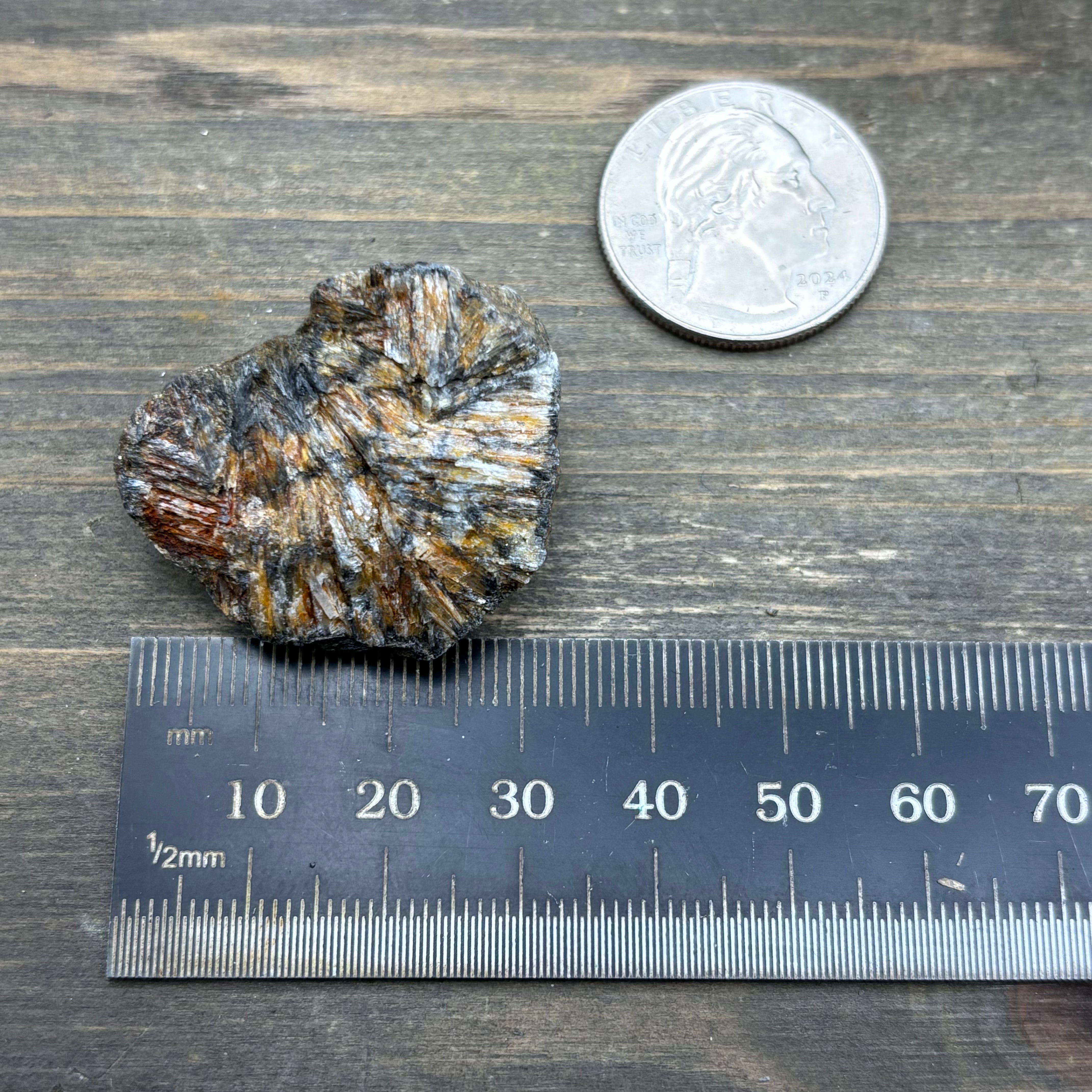 Siberian Chiastolite - 022