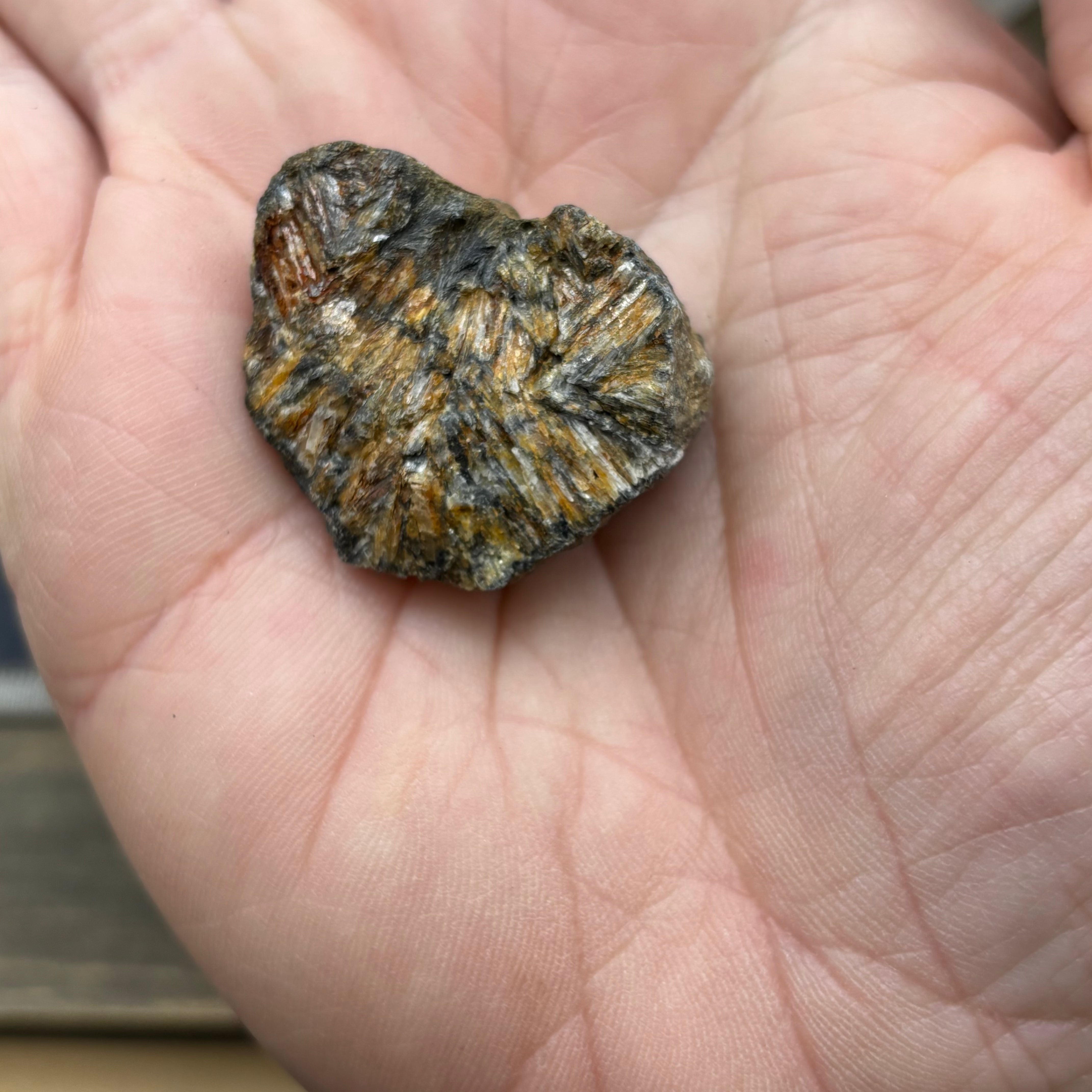 Siberian Chiastolite - 022