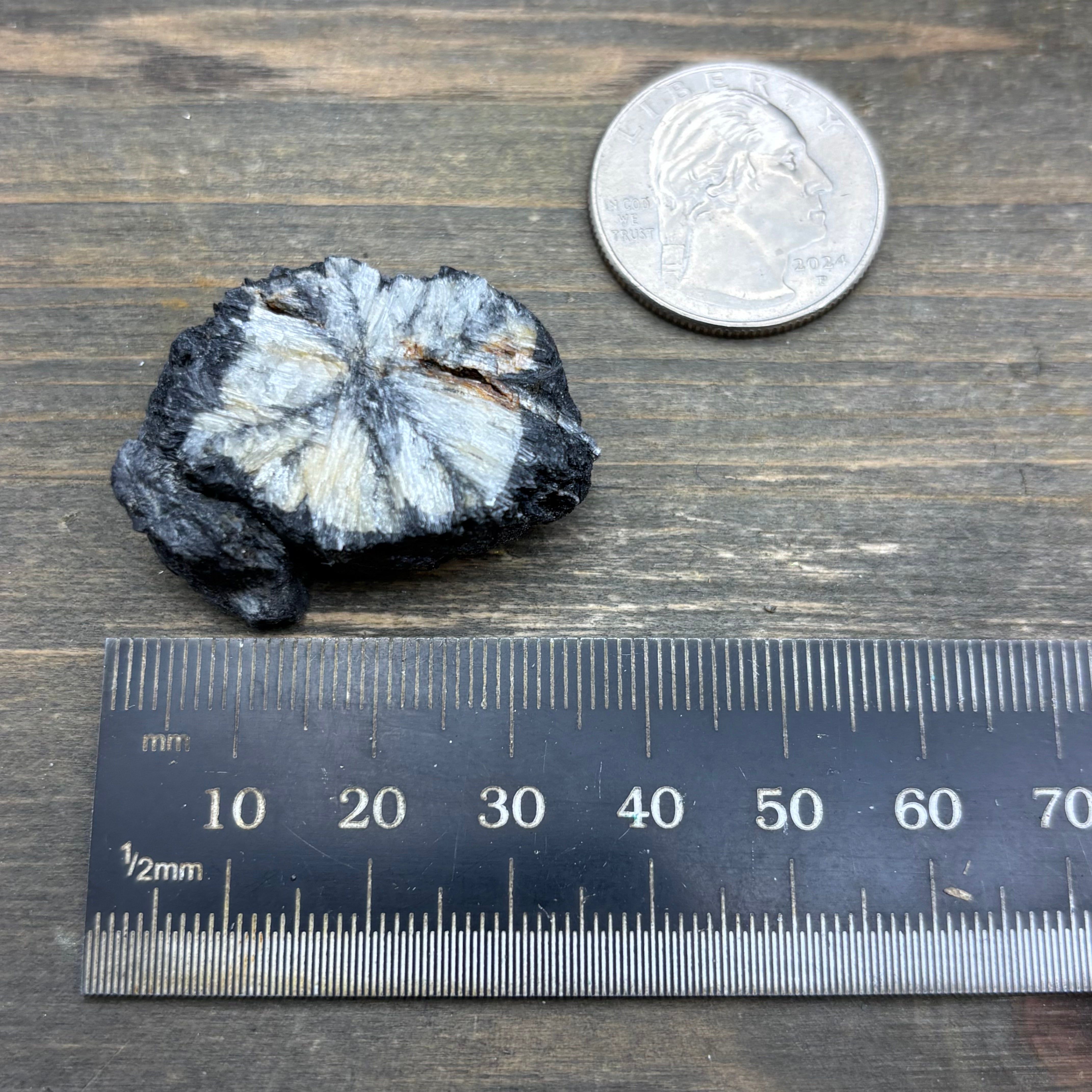 Siberian Chiastolite - 023