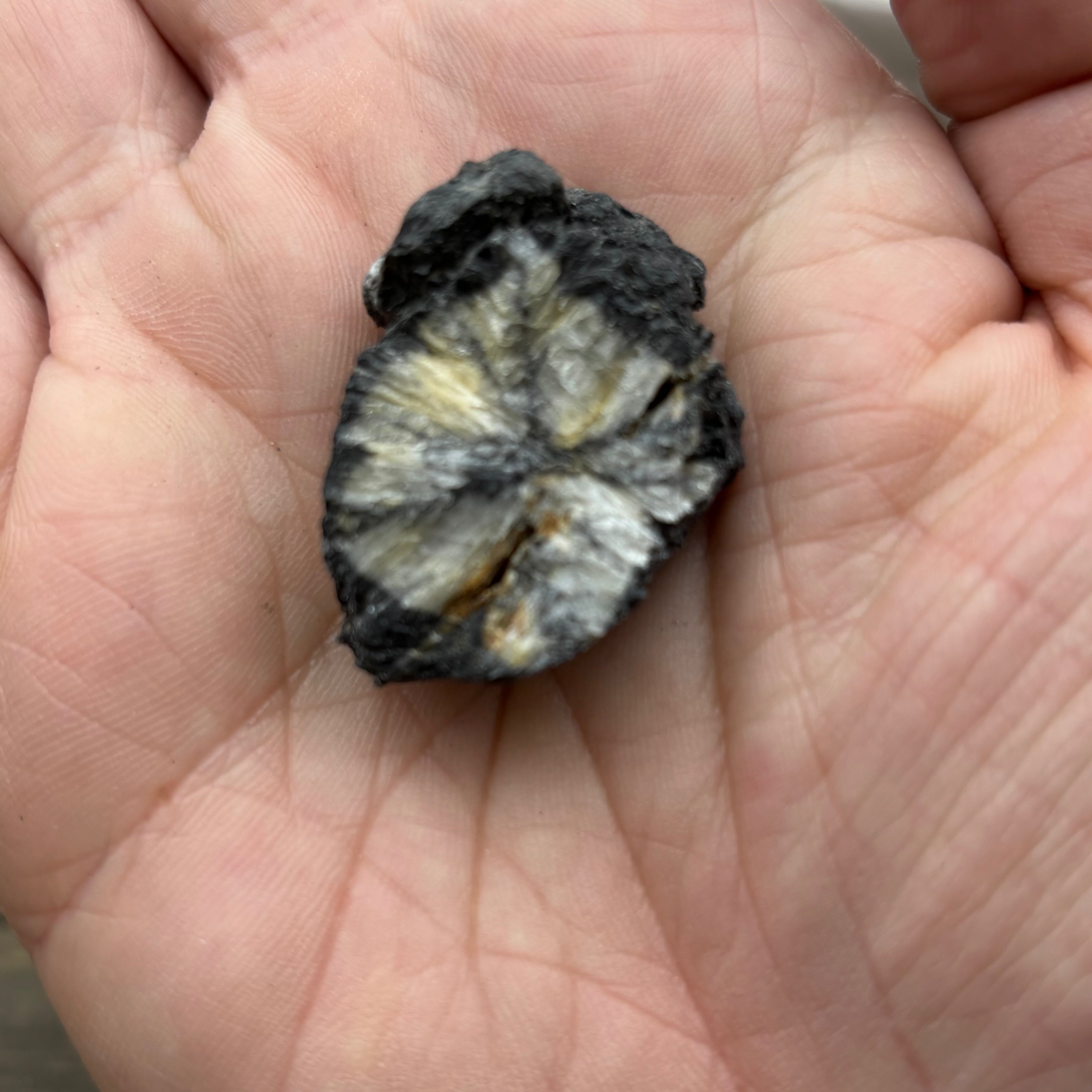 Siberian Chiastolite - 023