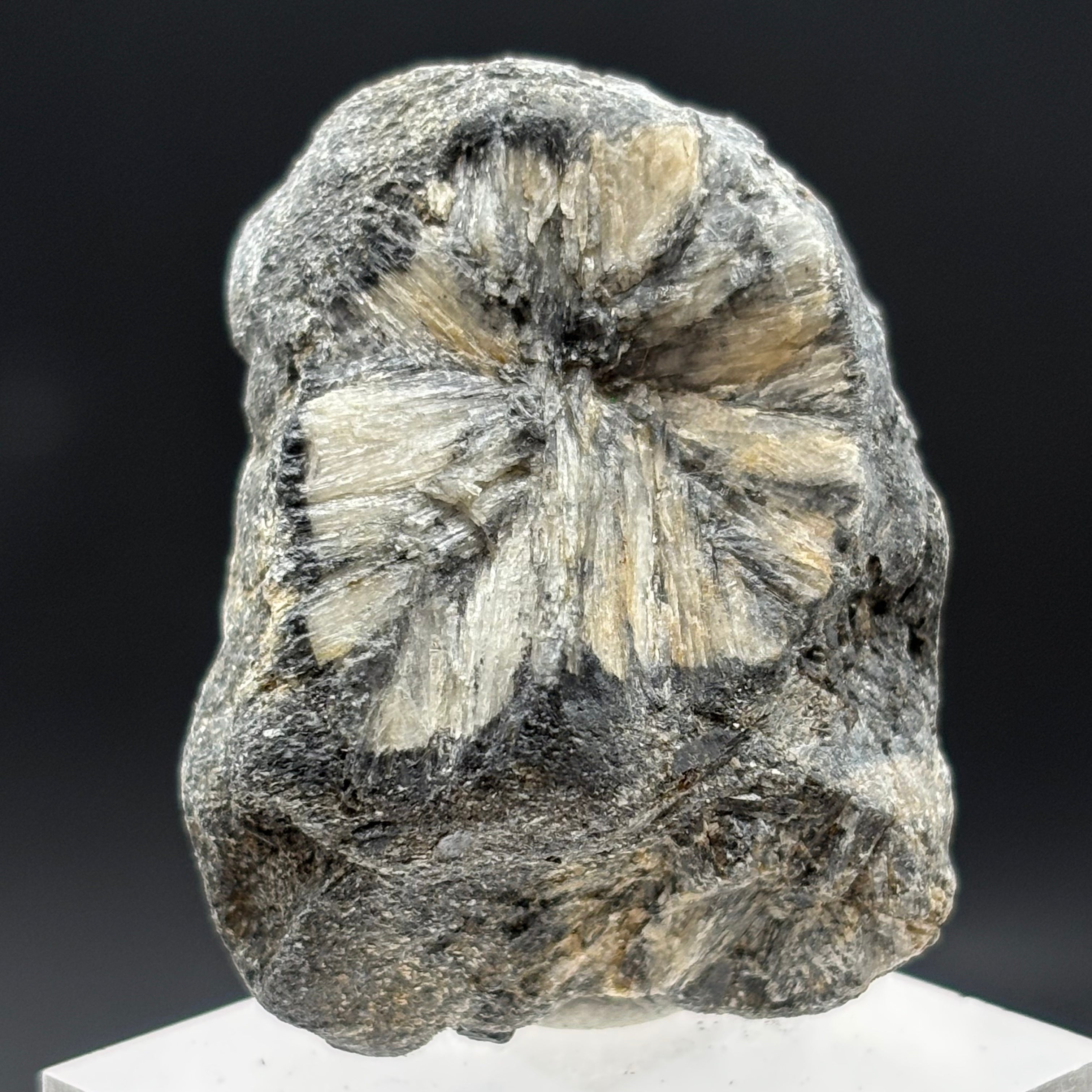 Siberian Chiastolite - 024
