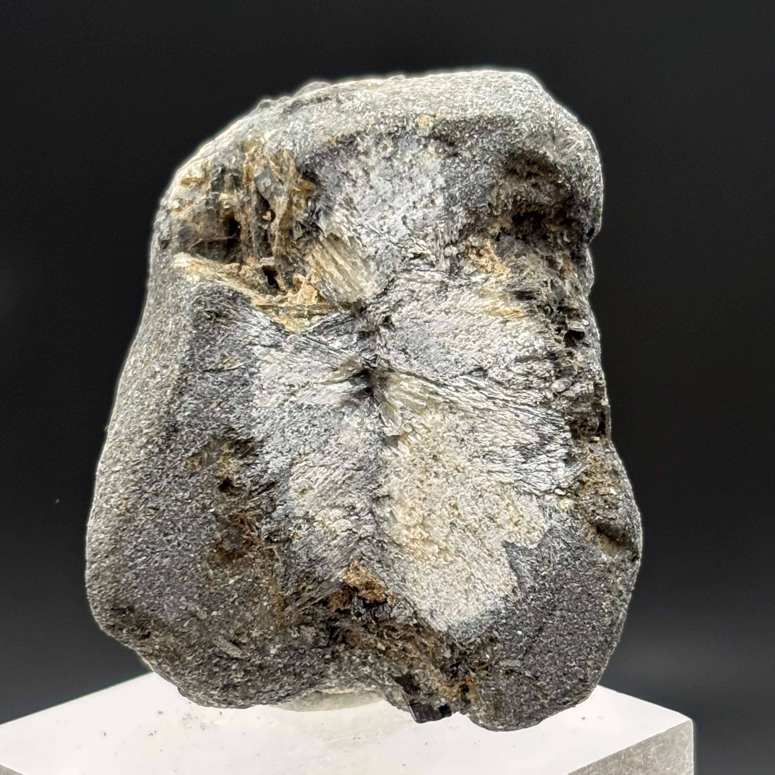 Siberian Chiastolite - 024