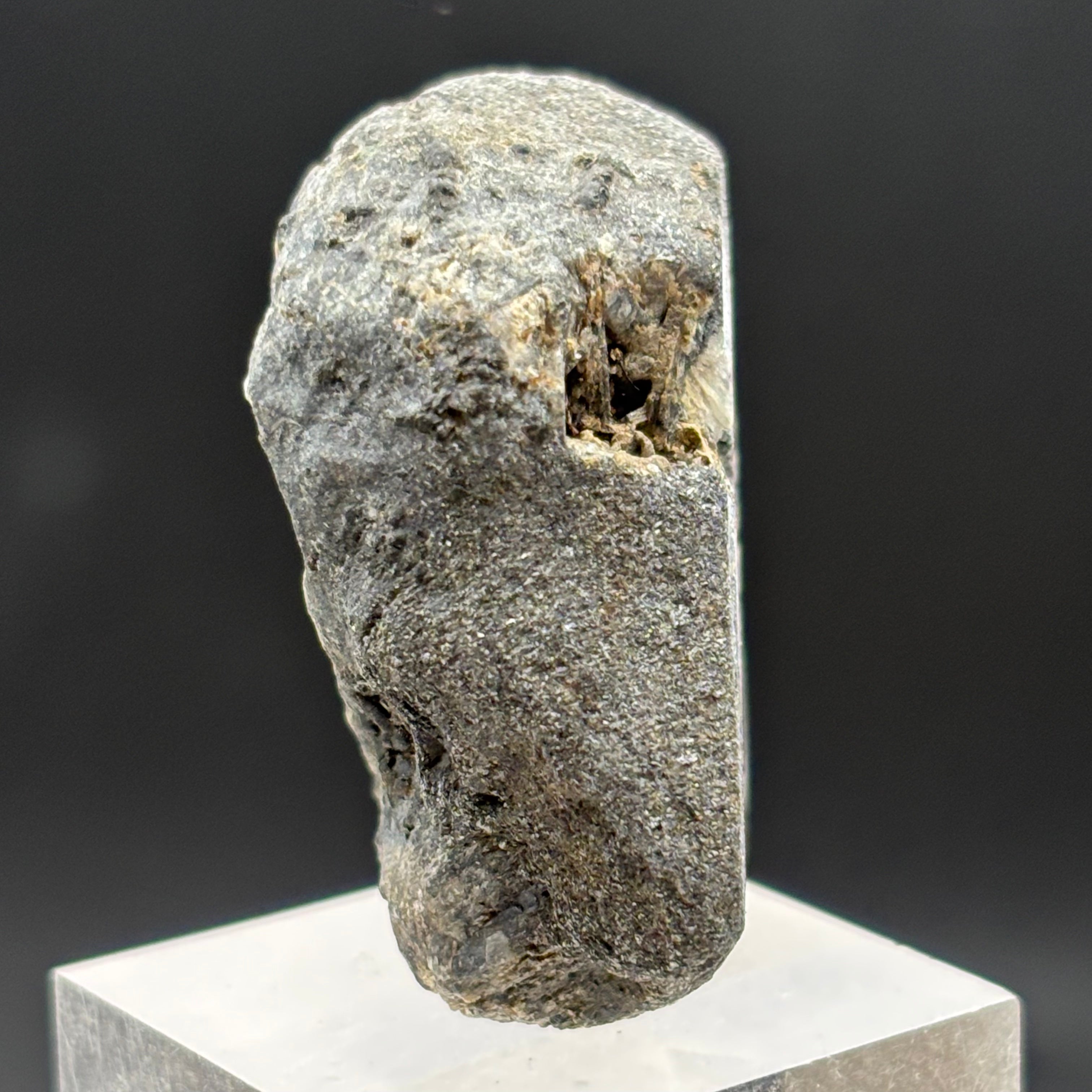 Siberian Chiastolite - 024