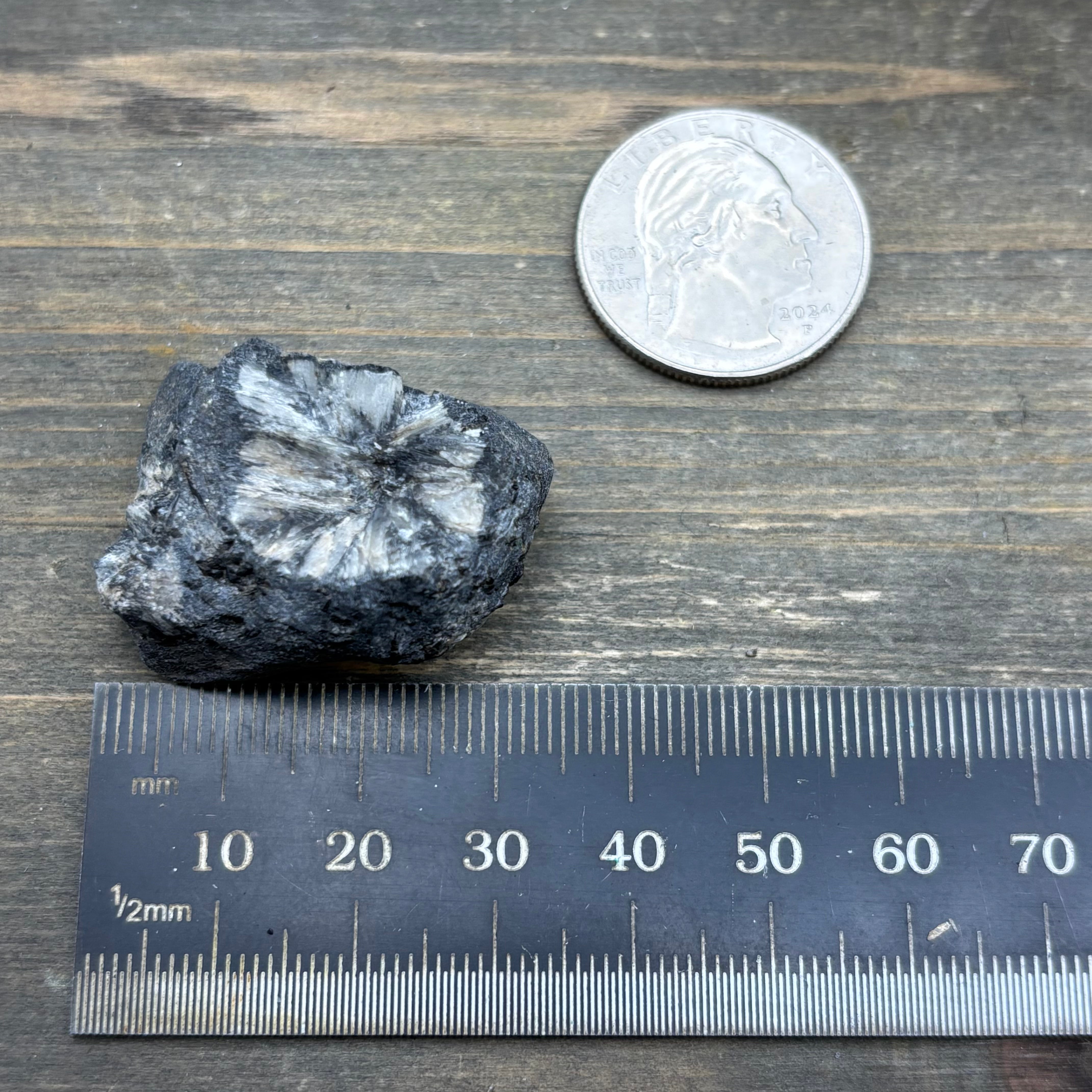 Siberian Chiastolite - 024