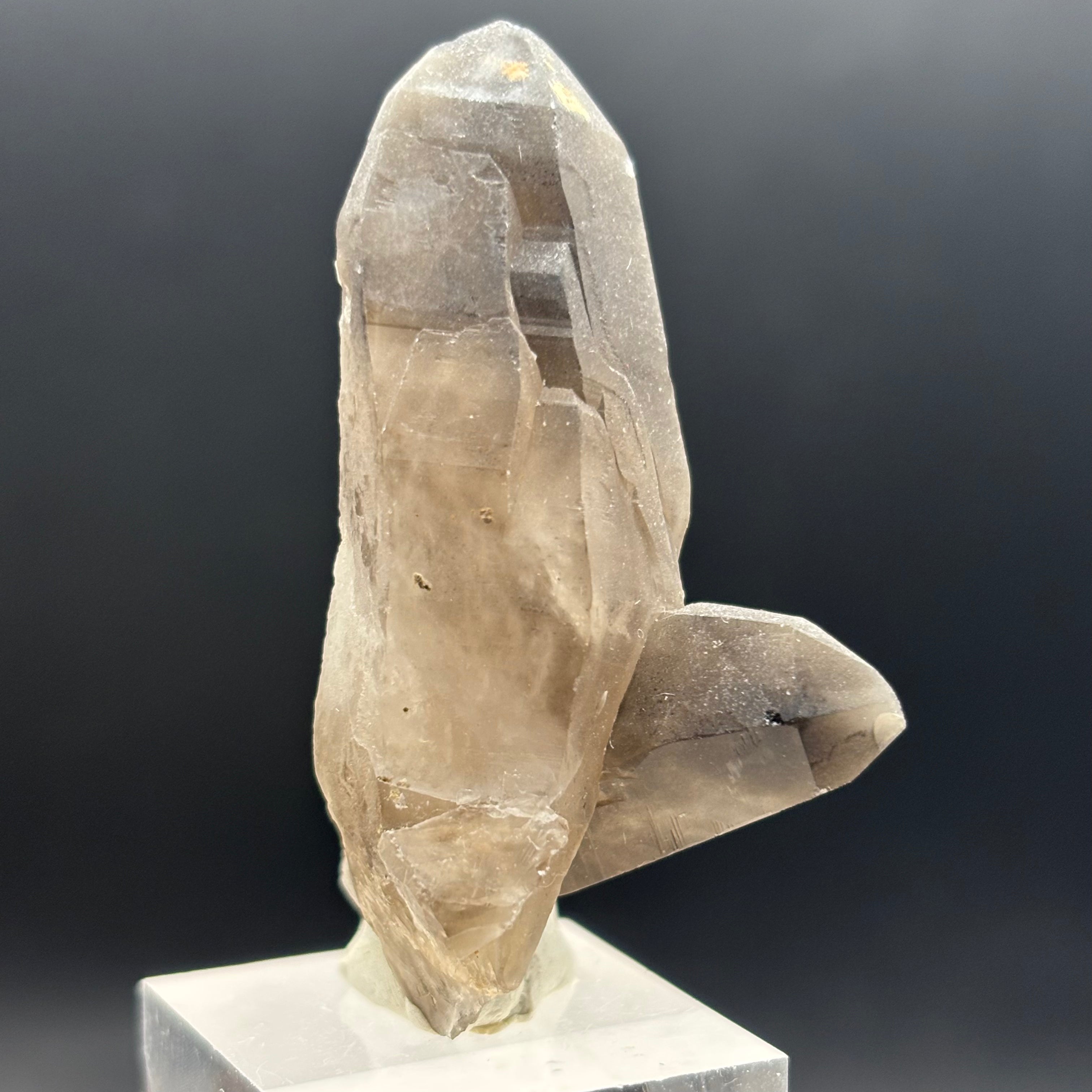 Dark Smoky Quartz Whole Crystal - 023