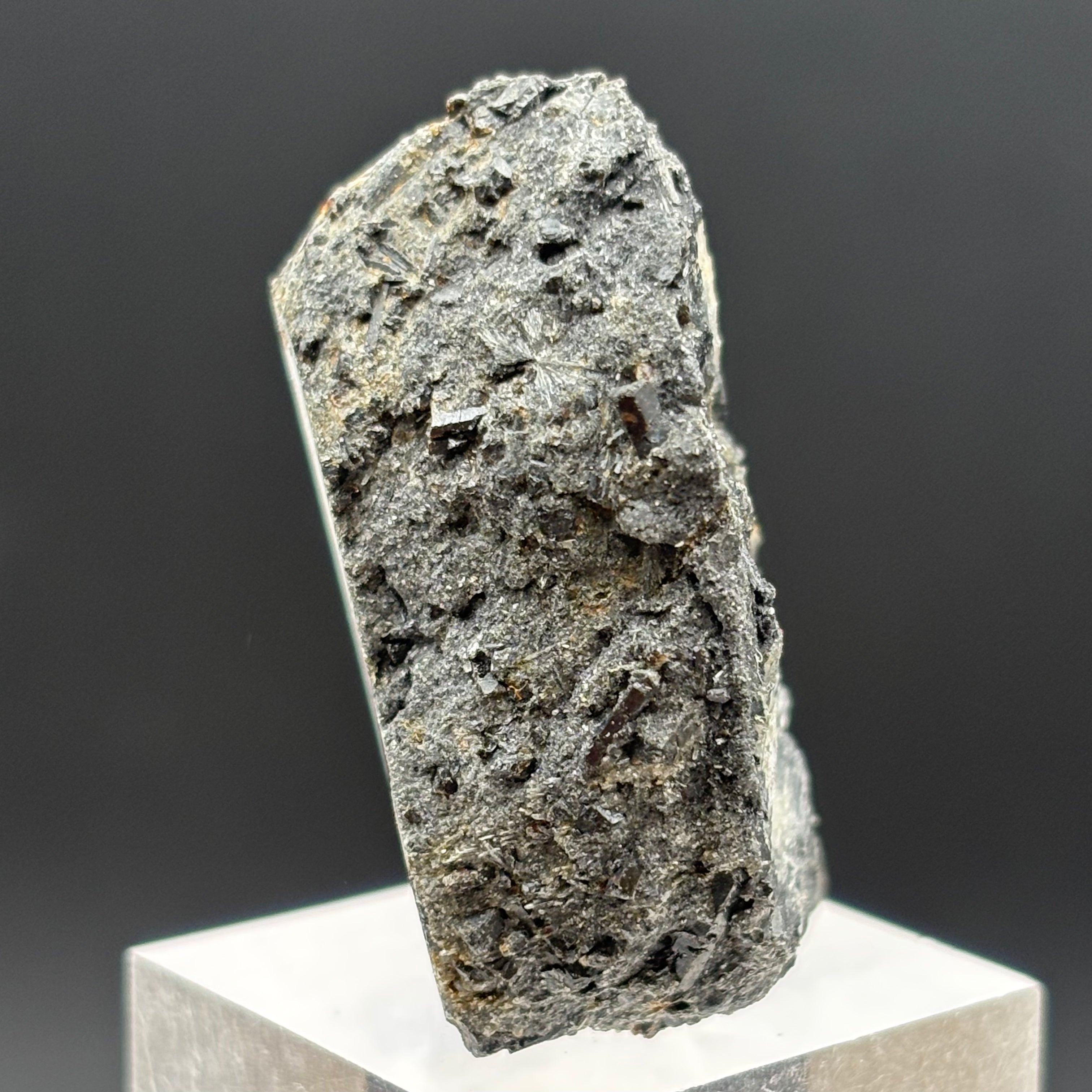 Siberian Chiastolite - 025
