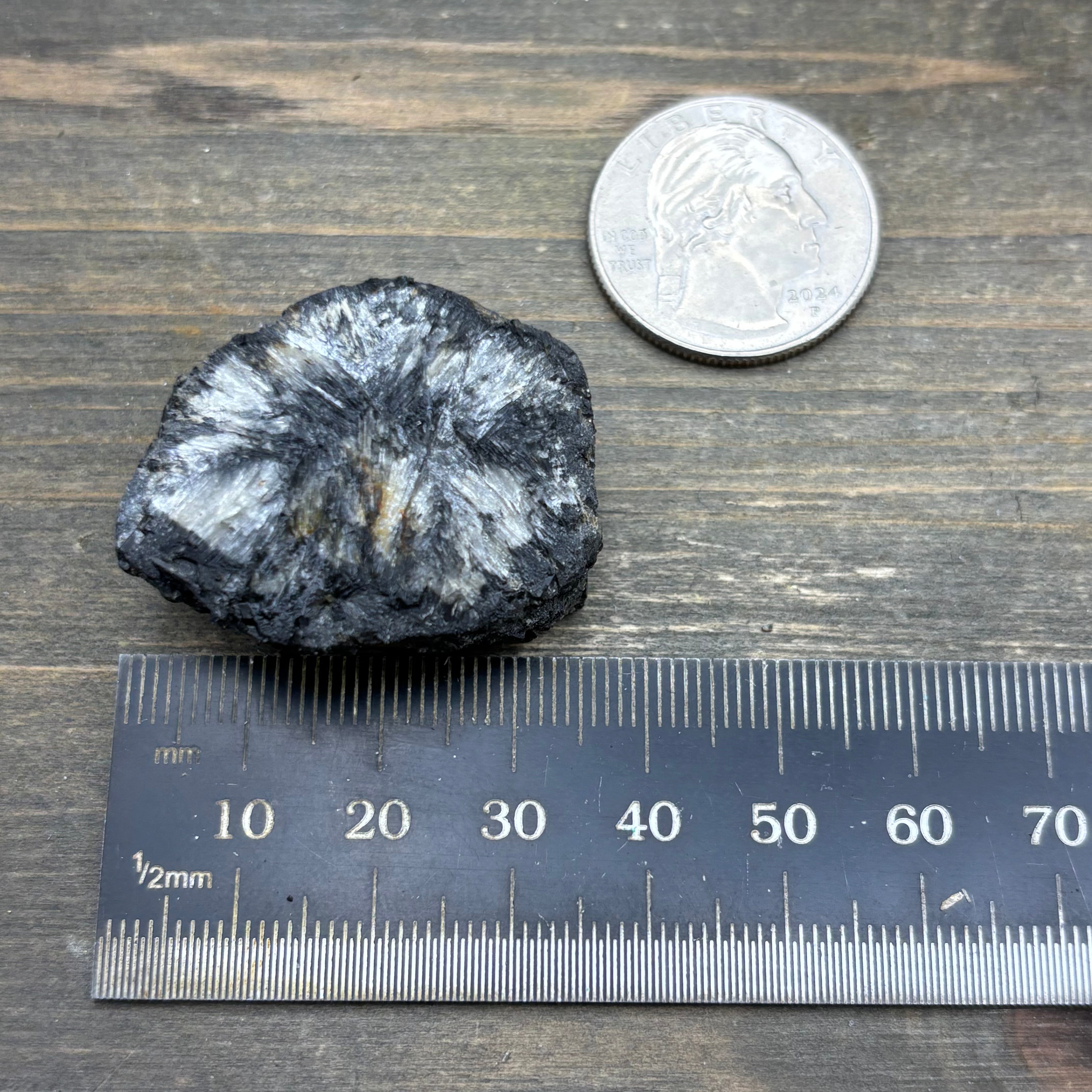 Siberian Chiastolite - 025