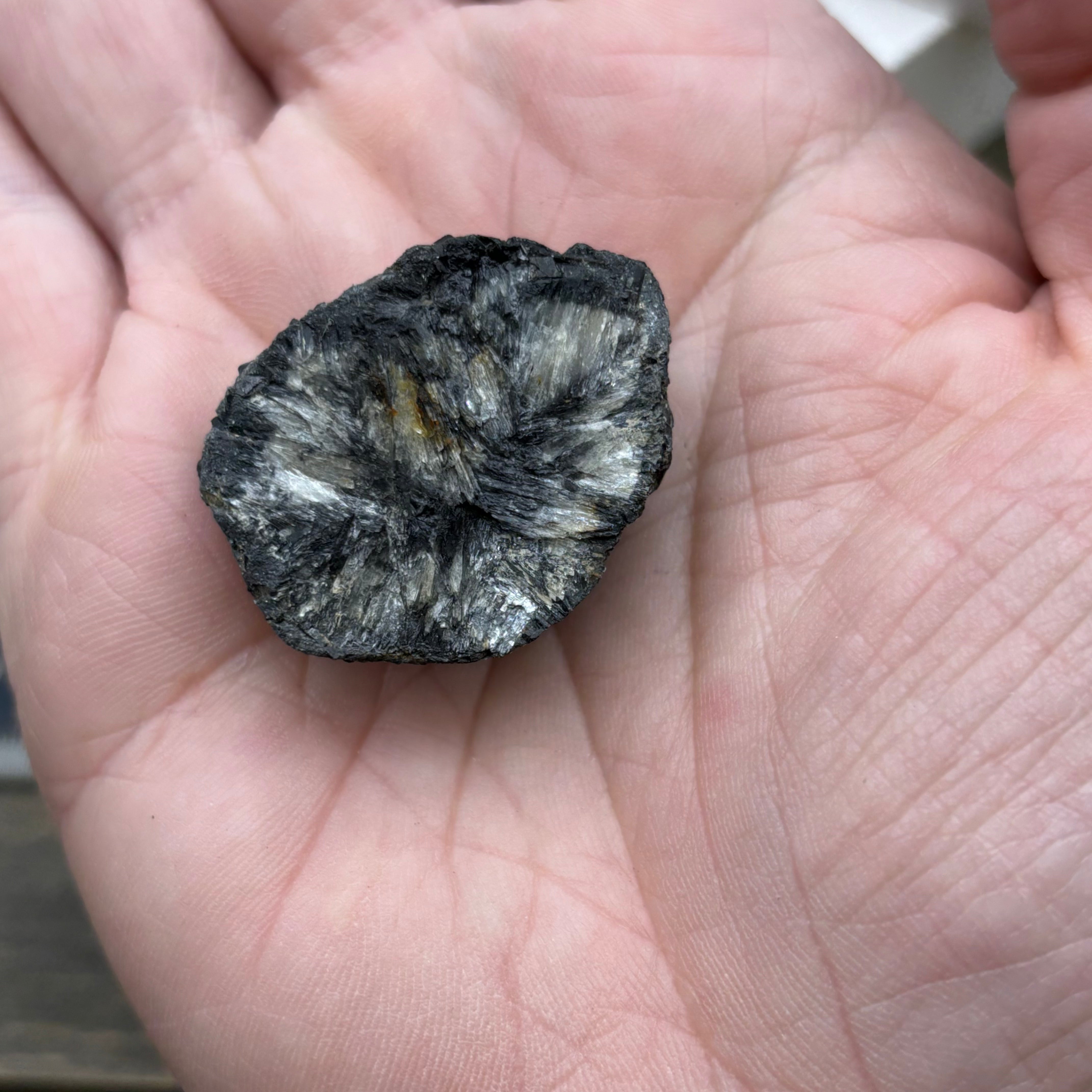 Siberian Chiastolite - 025