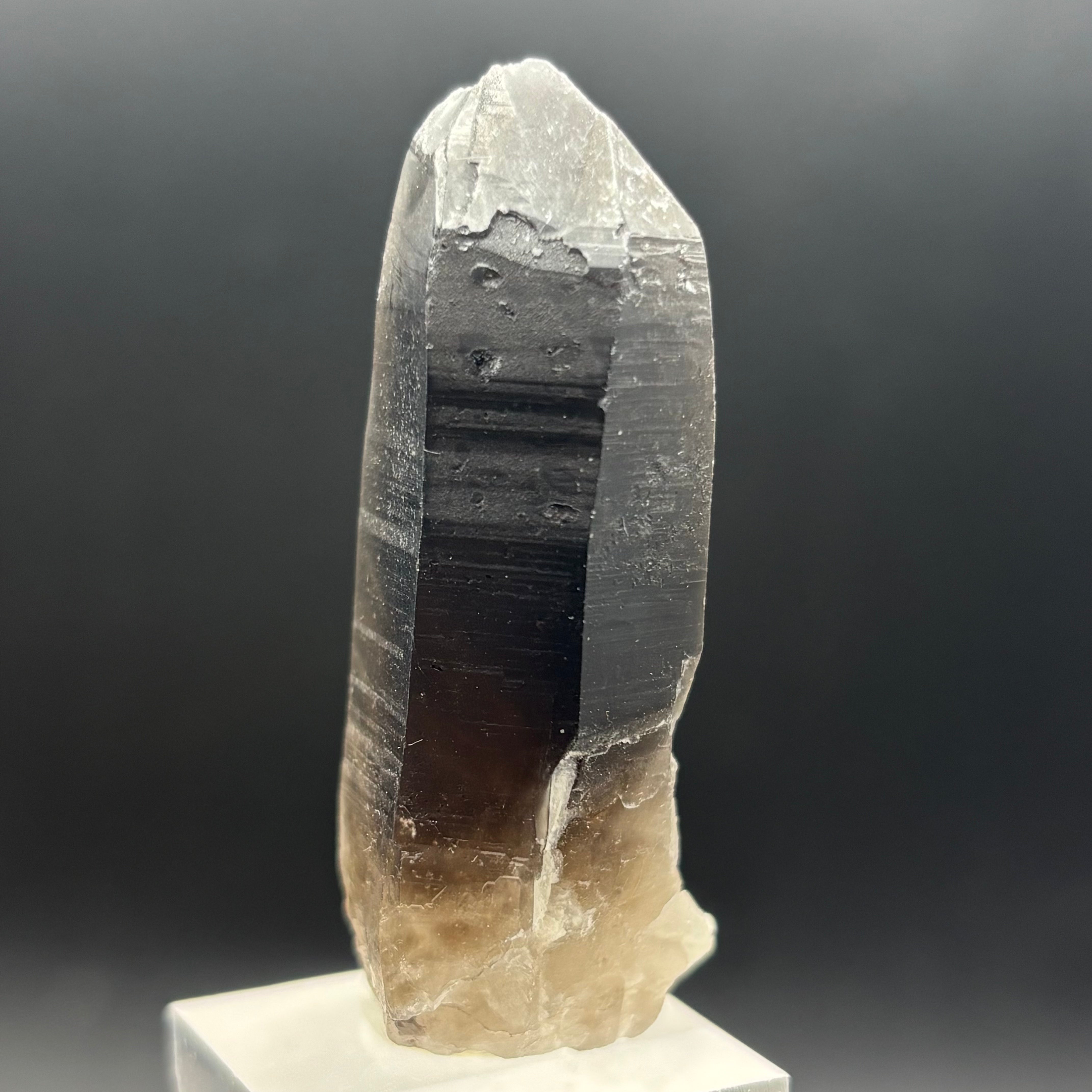 Dark Smoky Quartz Whole Crystal - 024