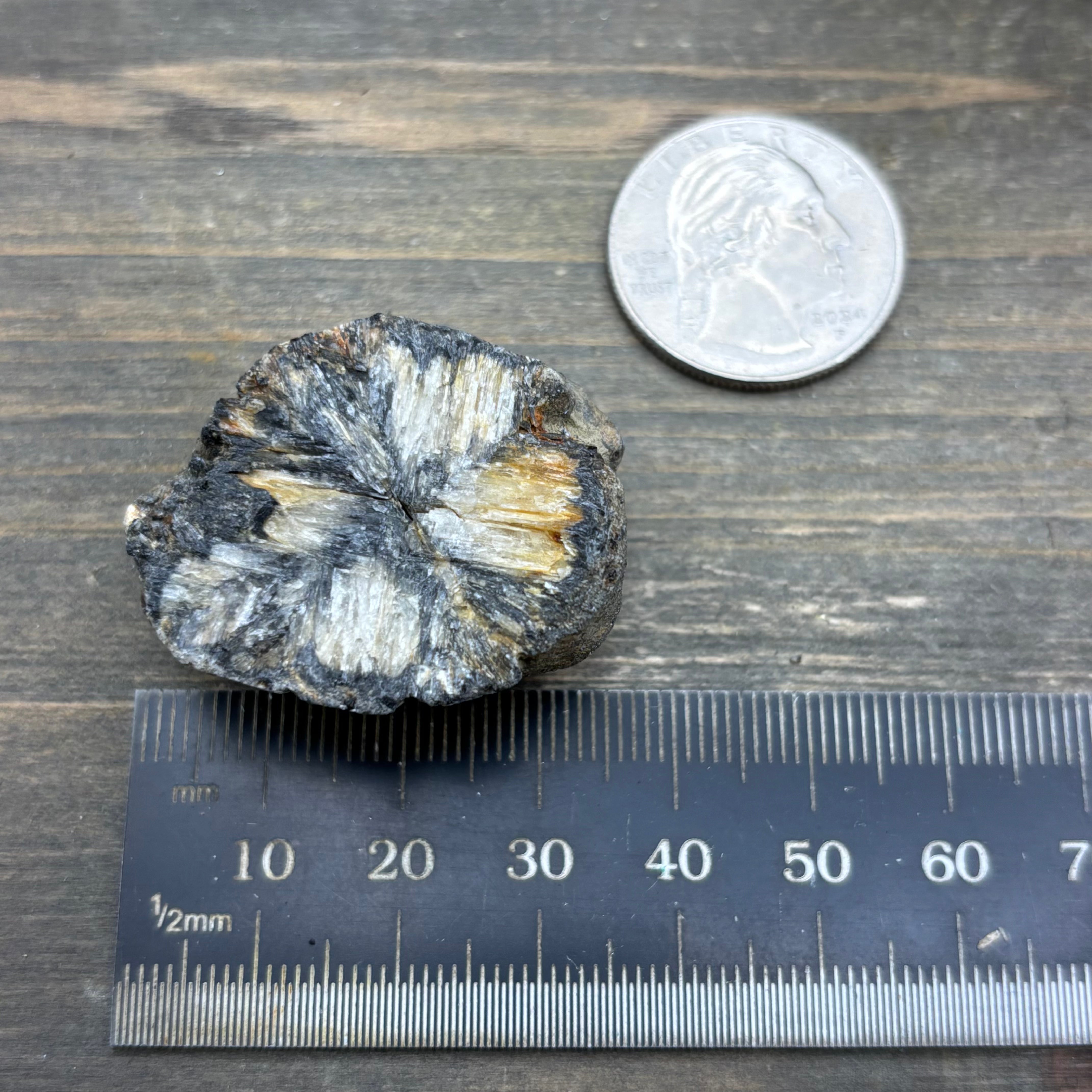Siberian Chiastolite - 026