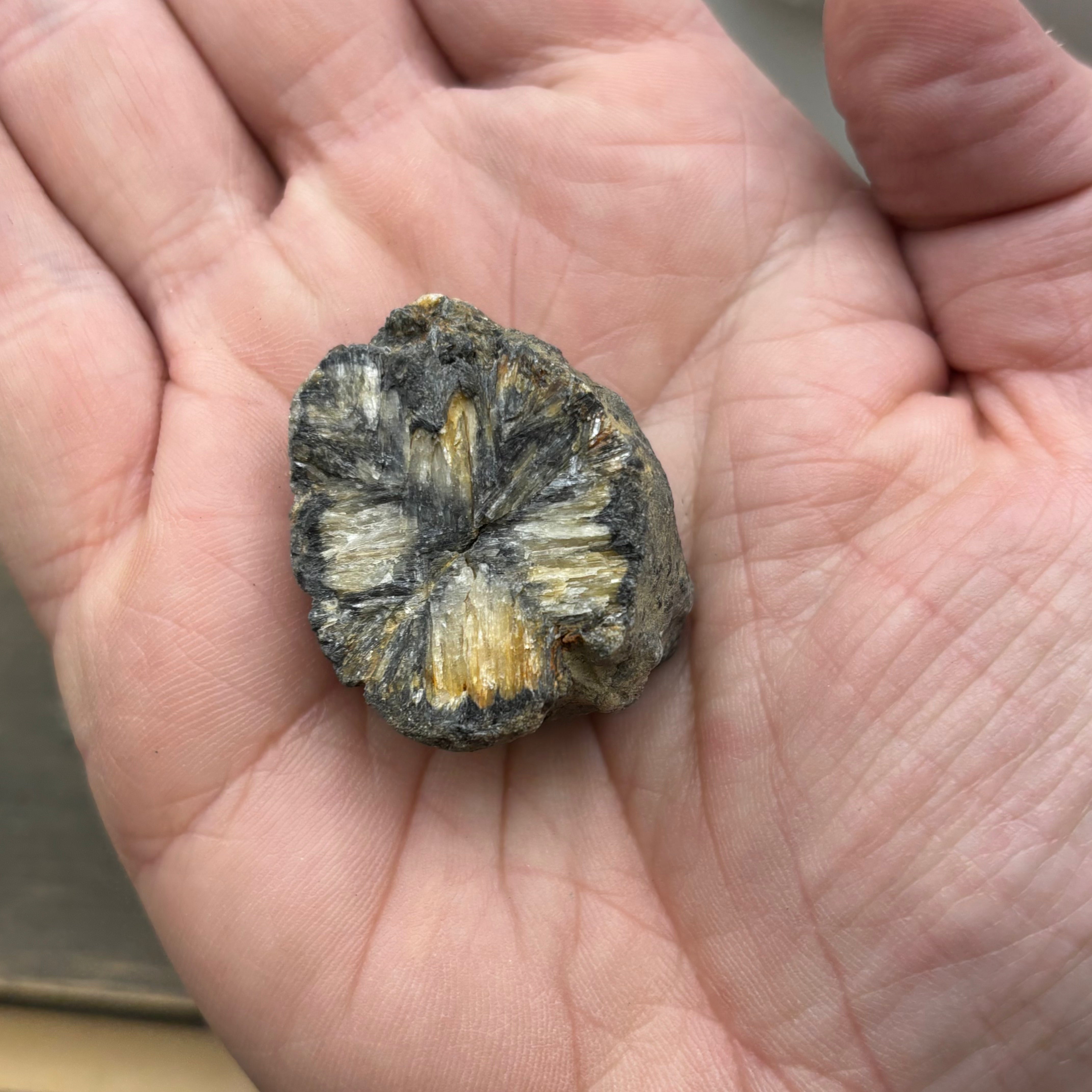 Siberian Chiastolite - 026