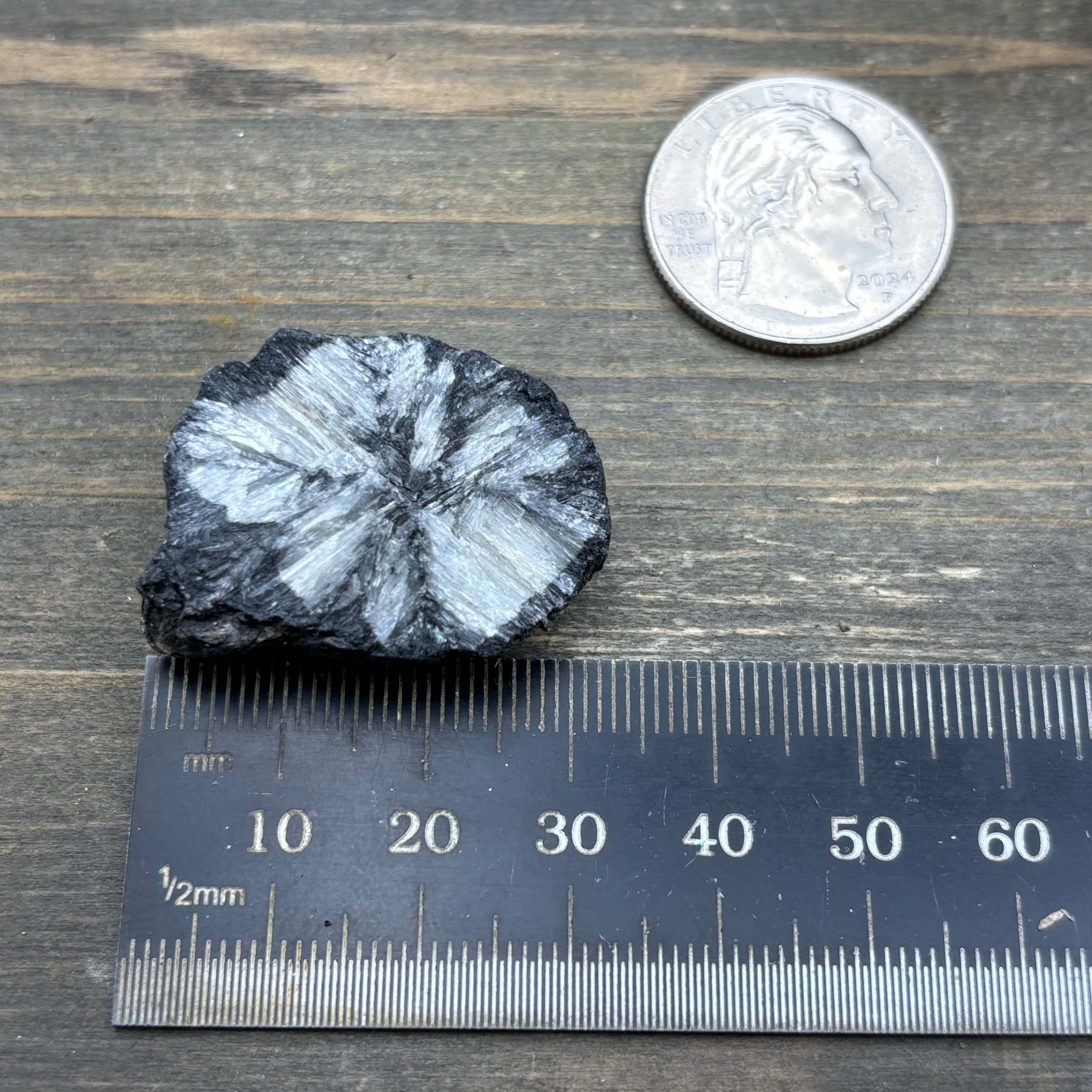Siberian Chiastolite - 027
