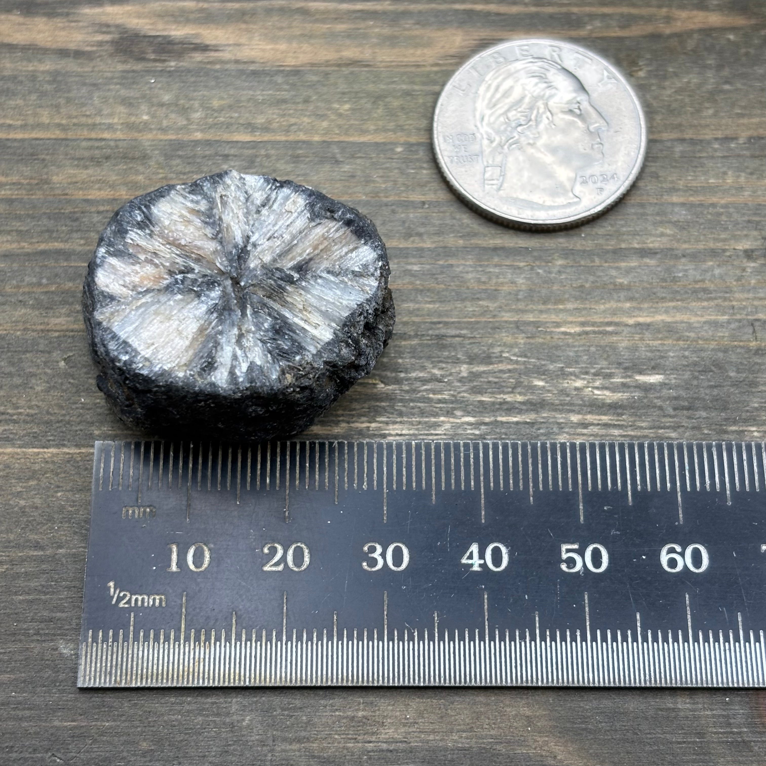 Siberian Chiastolite - 028