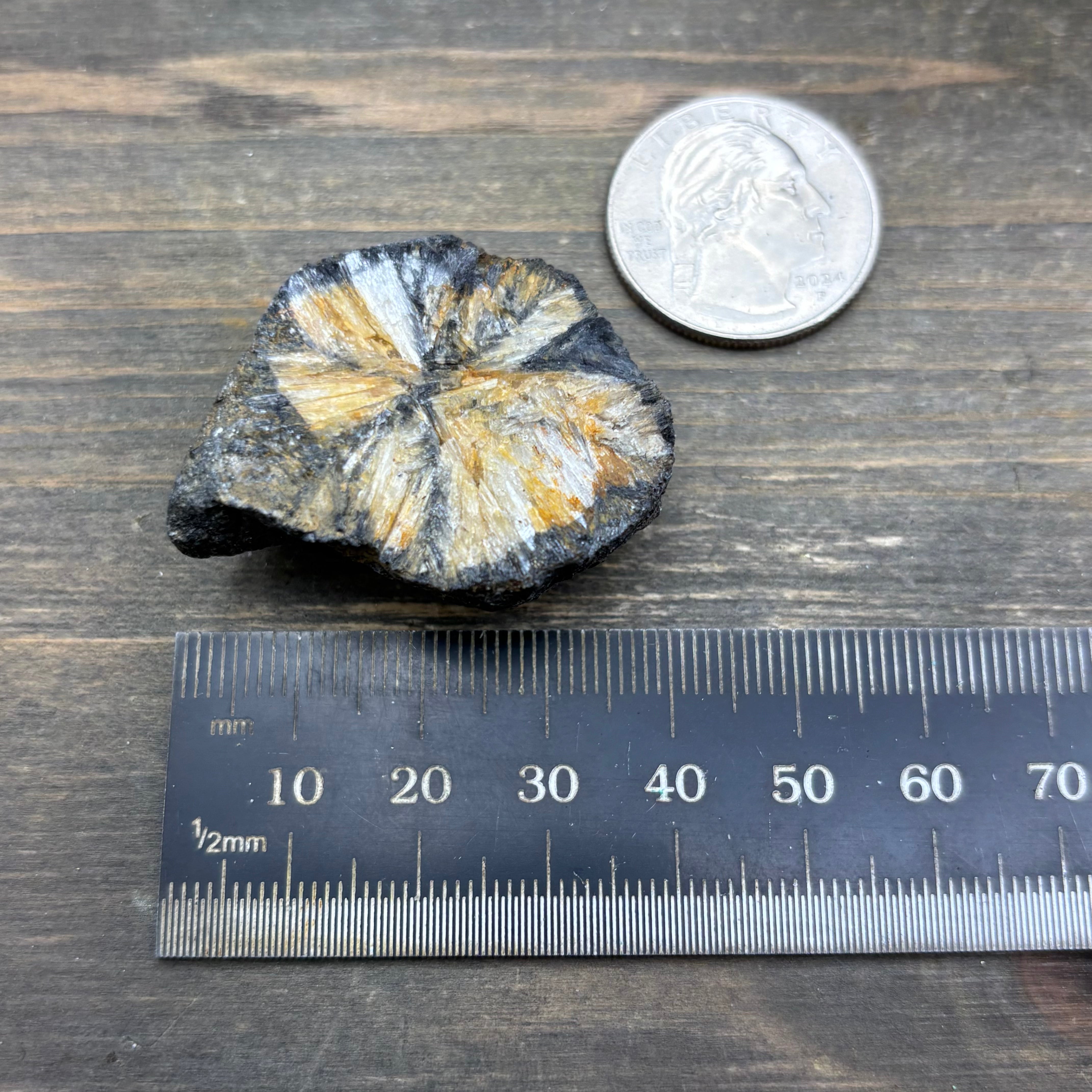 Siberian Chiastolite - 029