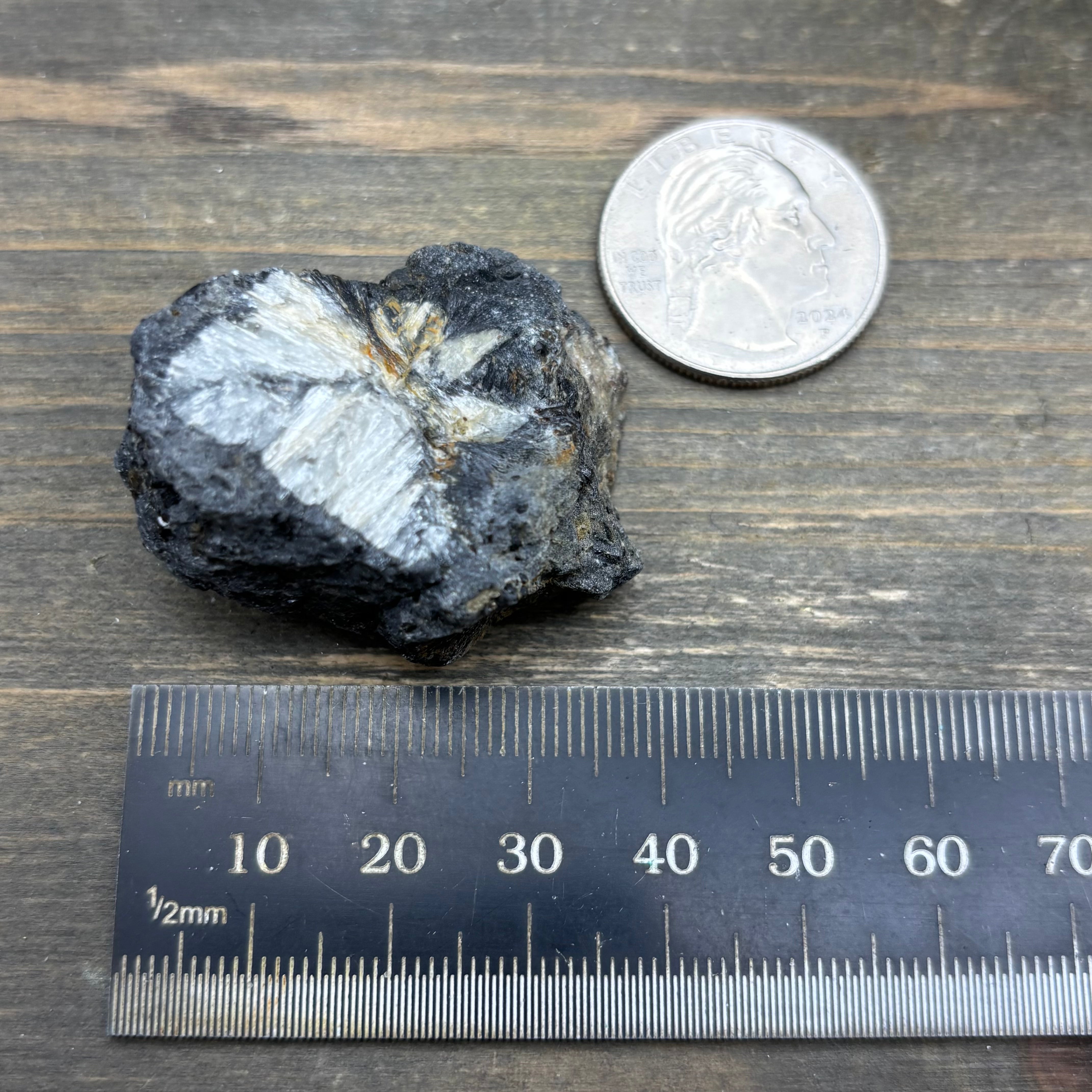 Siberian Chiastolite - 030