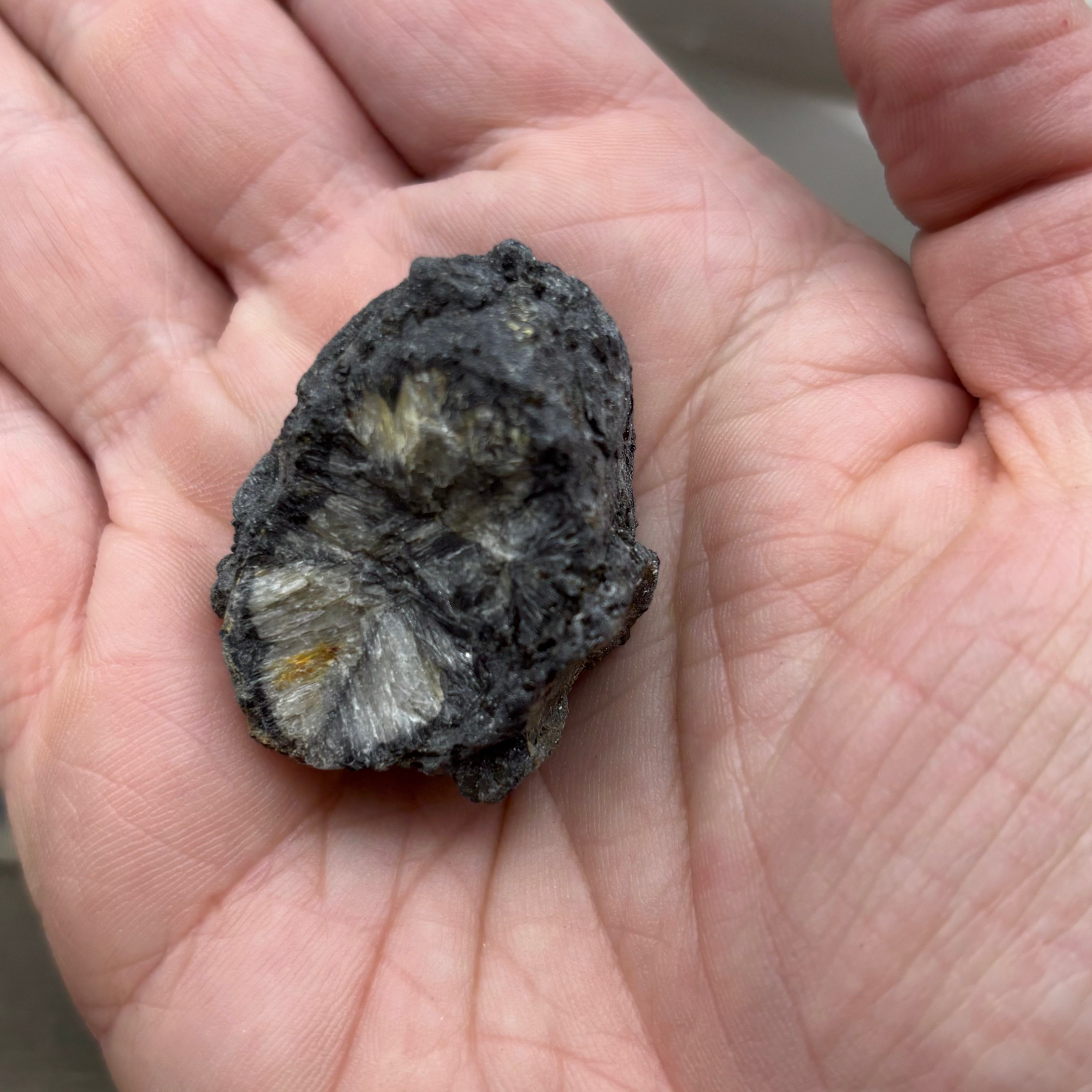 Siberian Chiastolite - 030