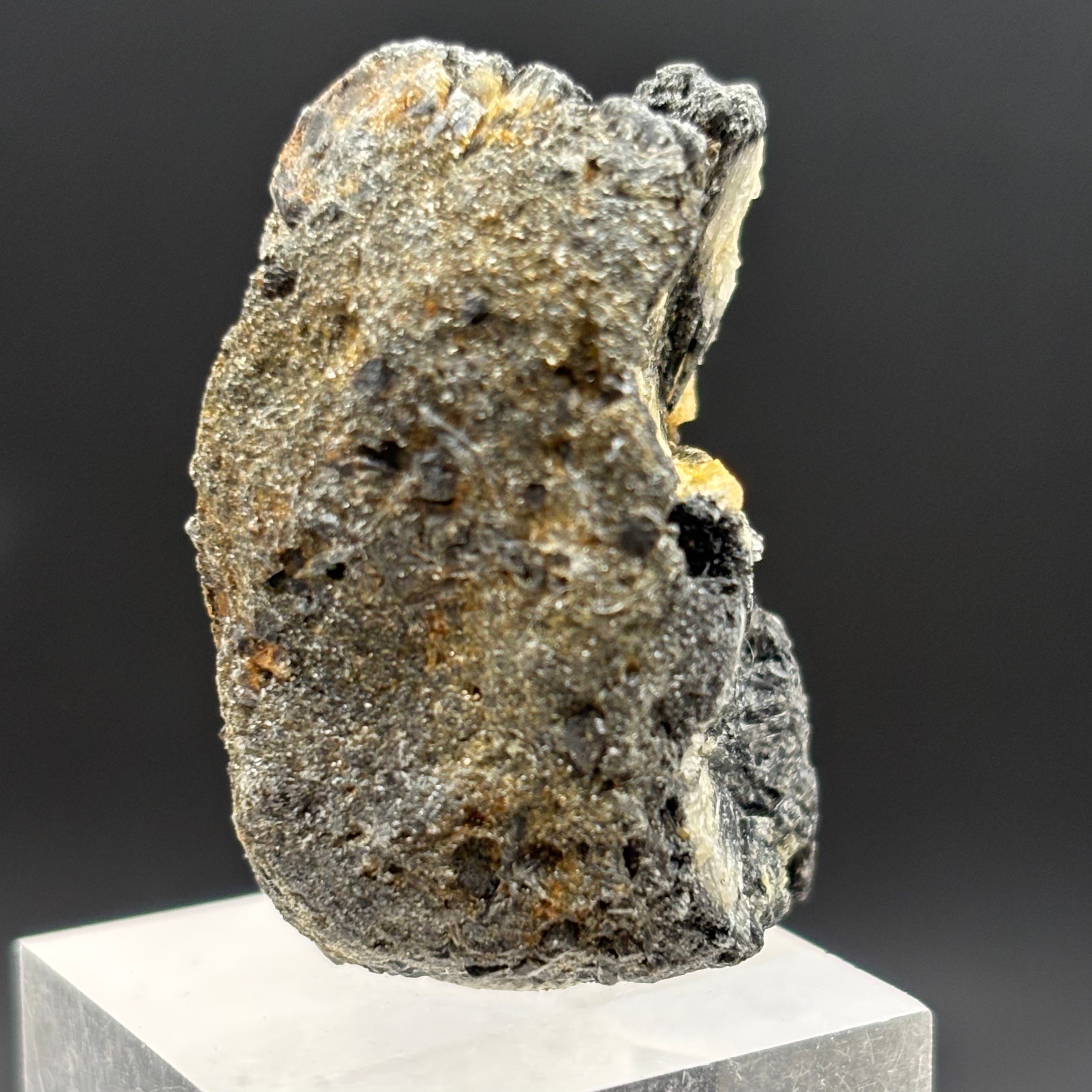 Siberian Chiastolite - 031