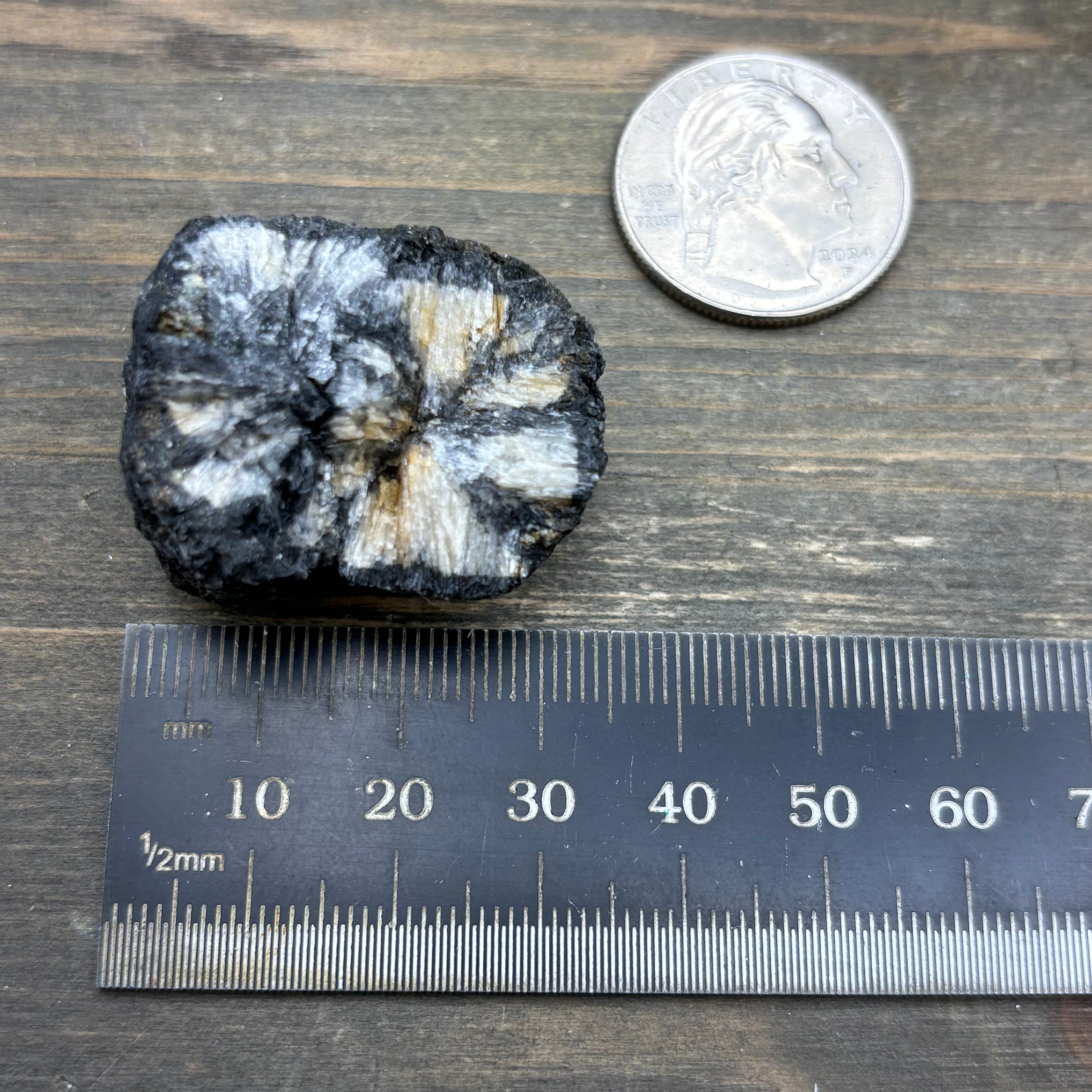 Siberian Chiastolite - 031