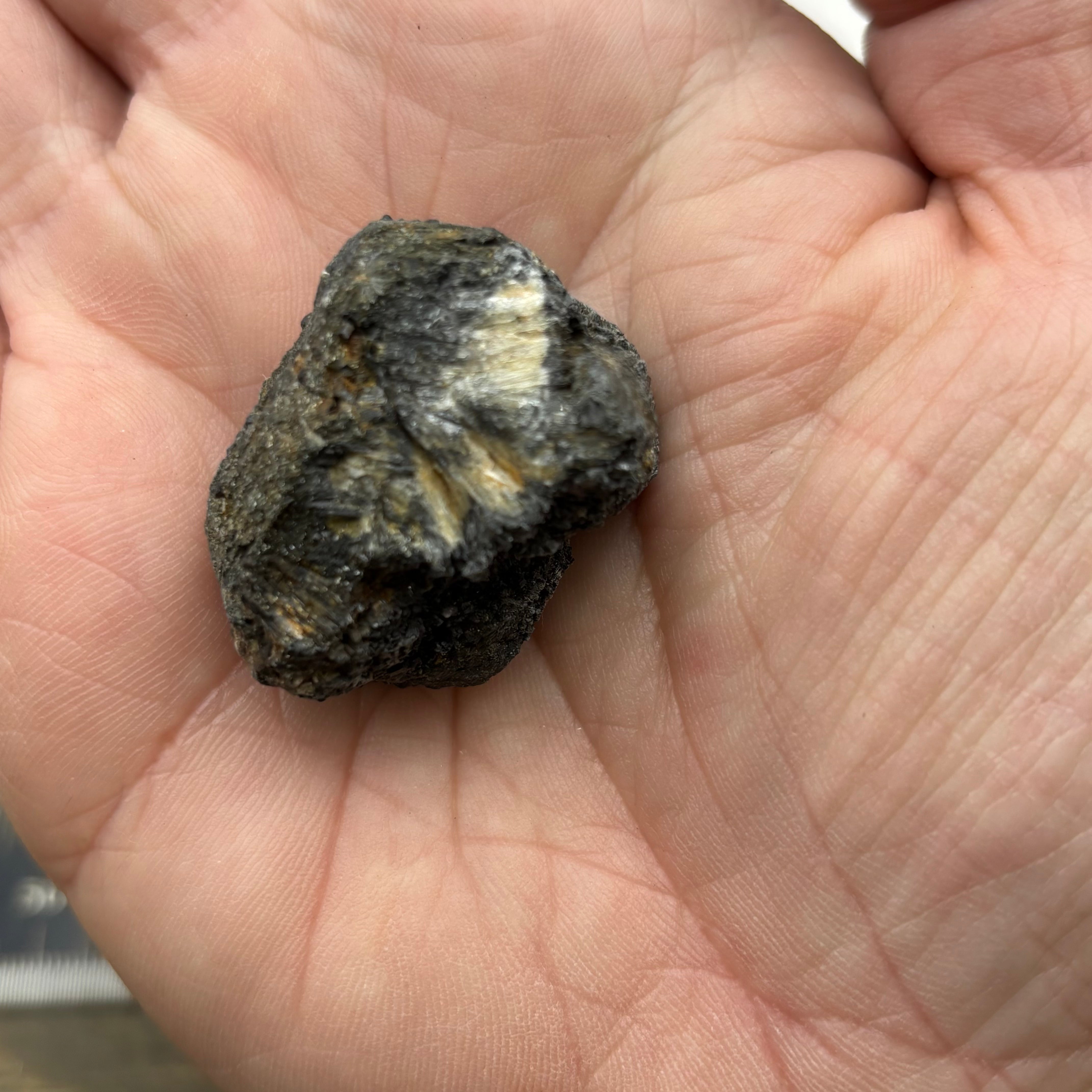 Siberian Chiastolite - 031