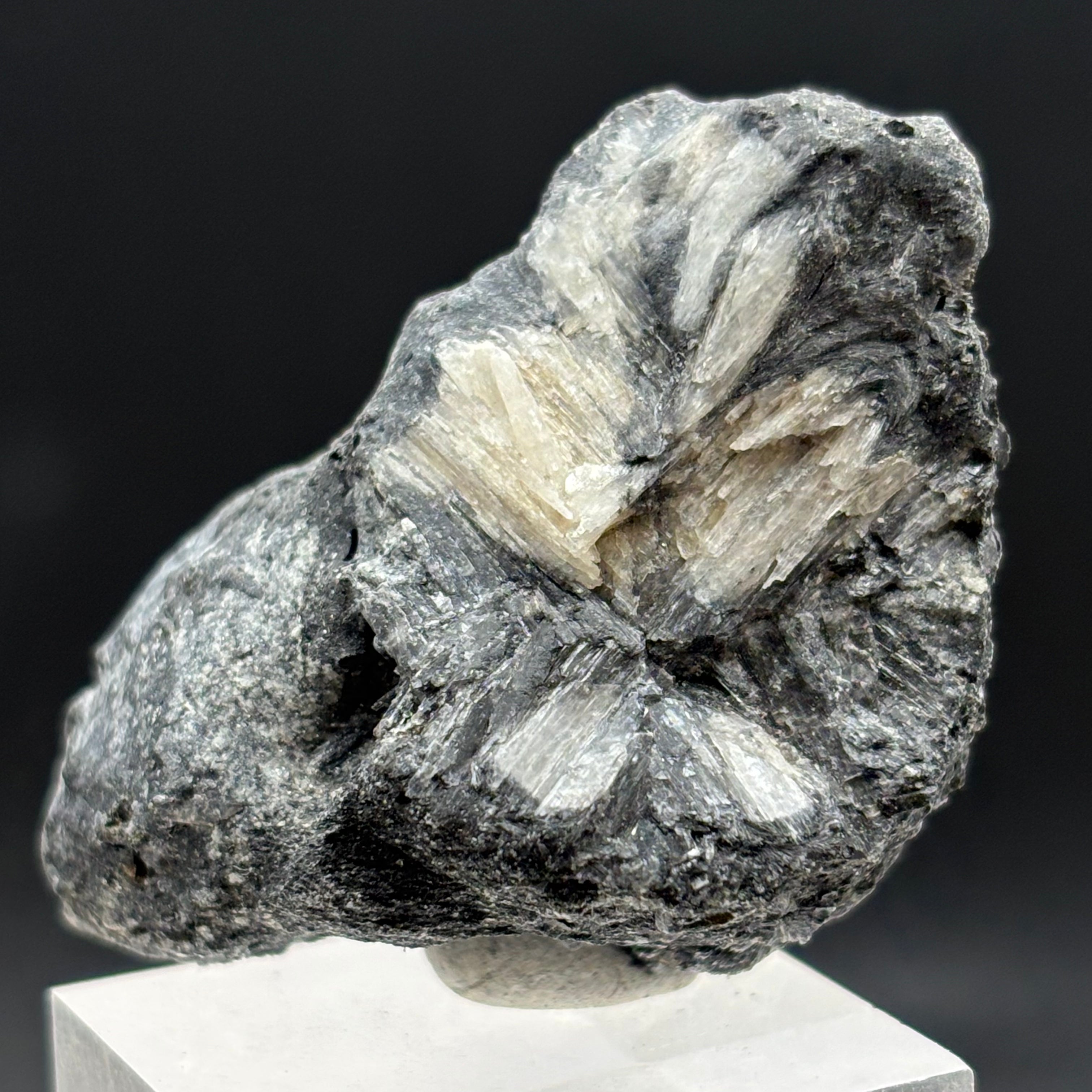 Siberian Chiastolite - 032