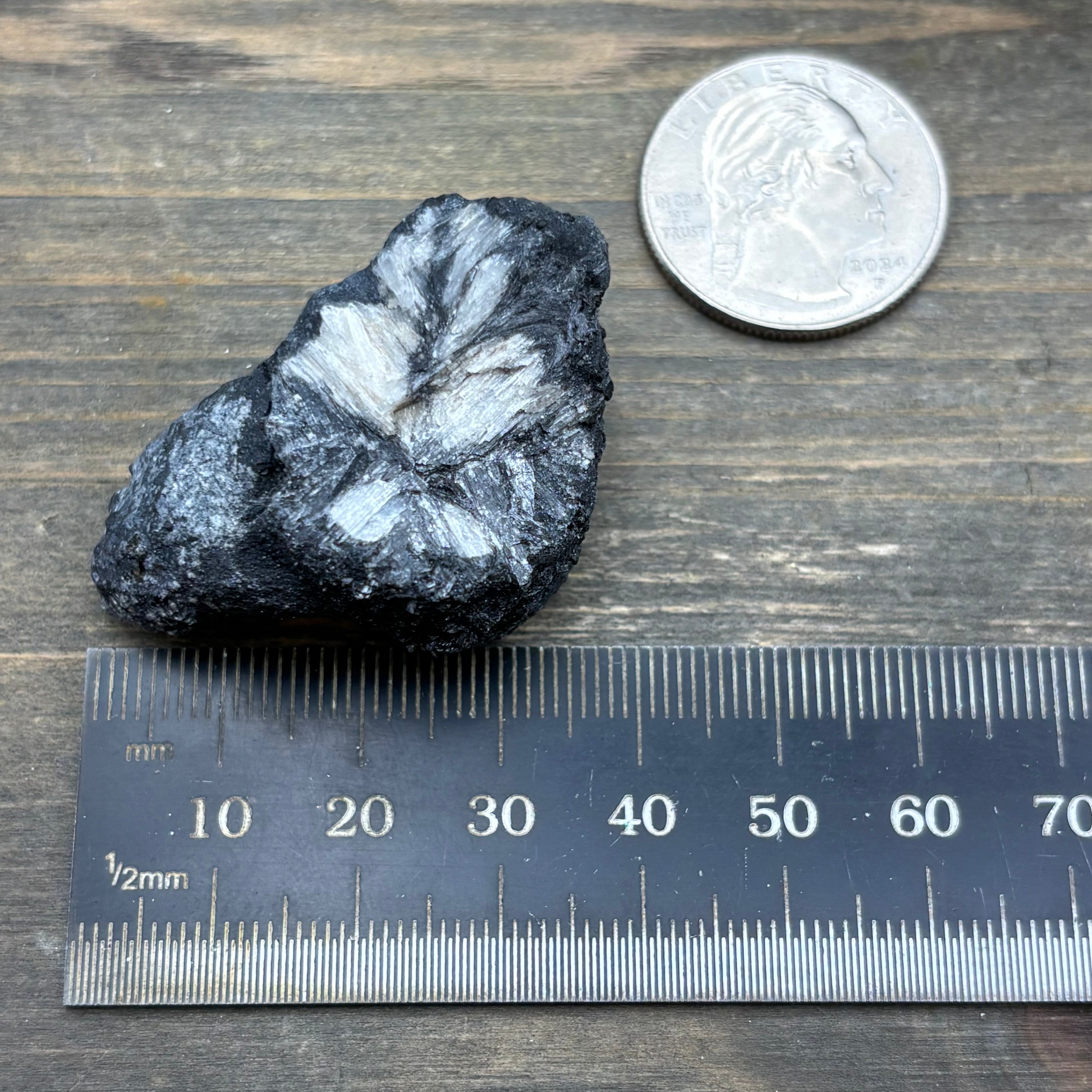 Siberian Chiastolite - 032
