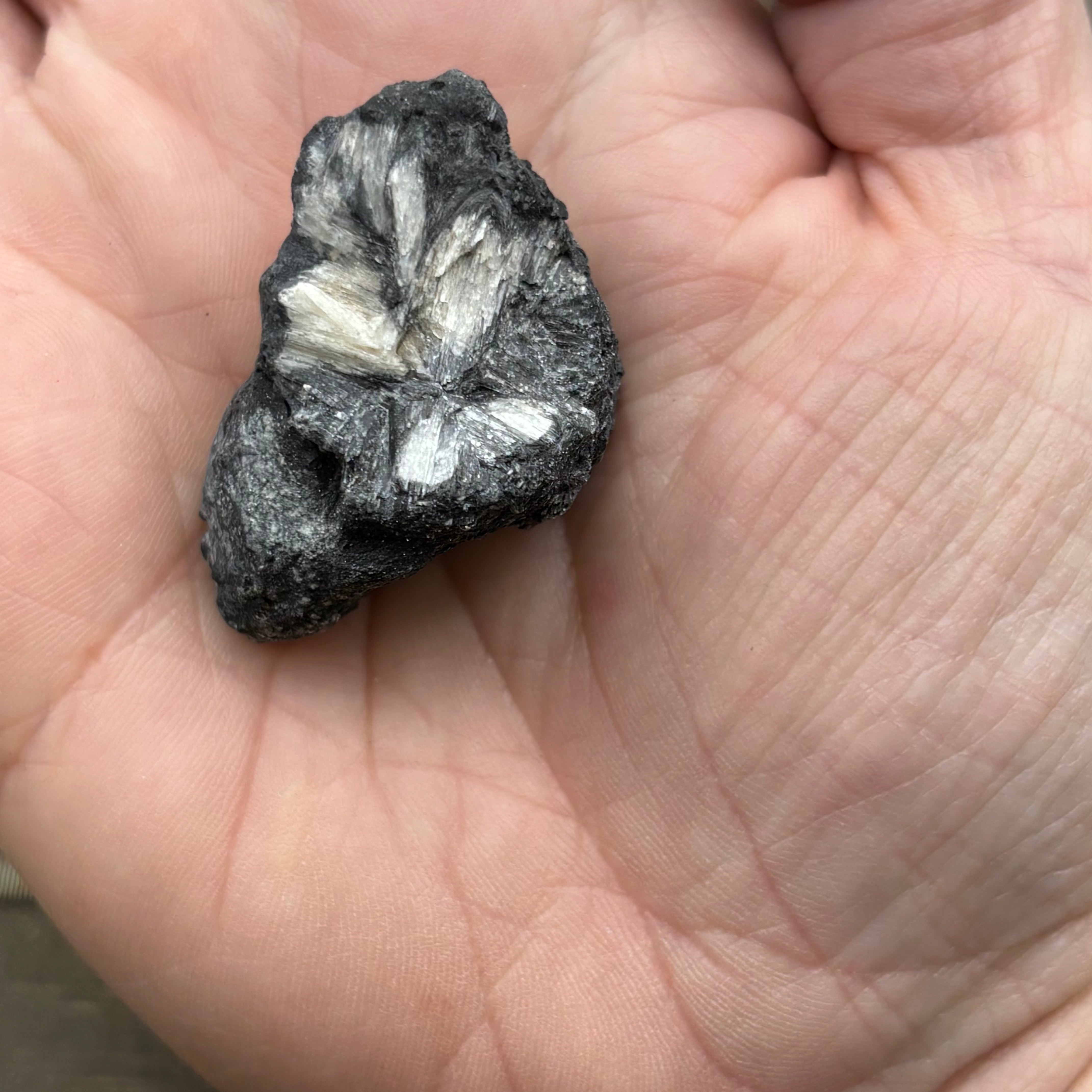 Siberian Chiastolite - 032