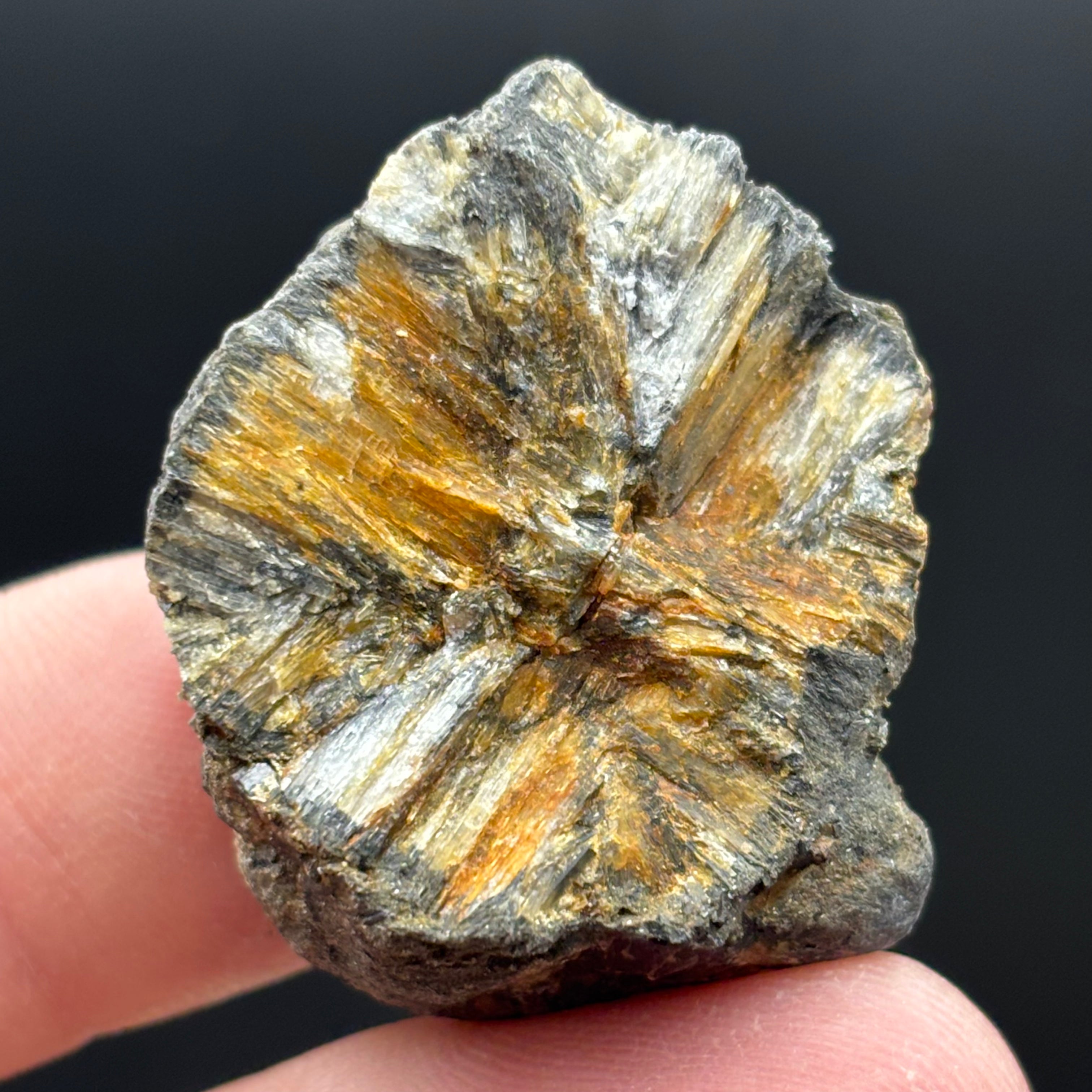 Siberian Chiastolite - 033