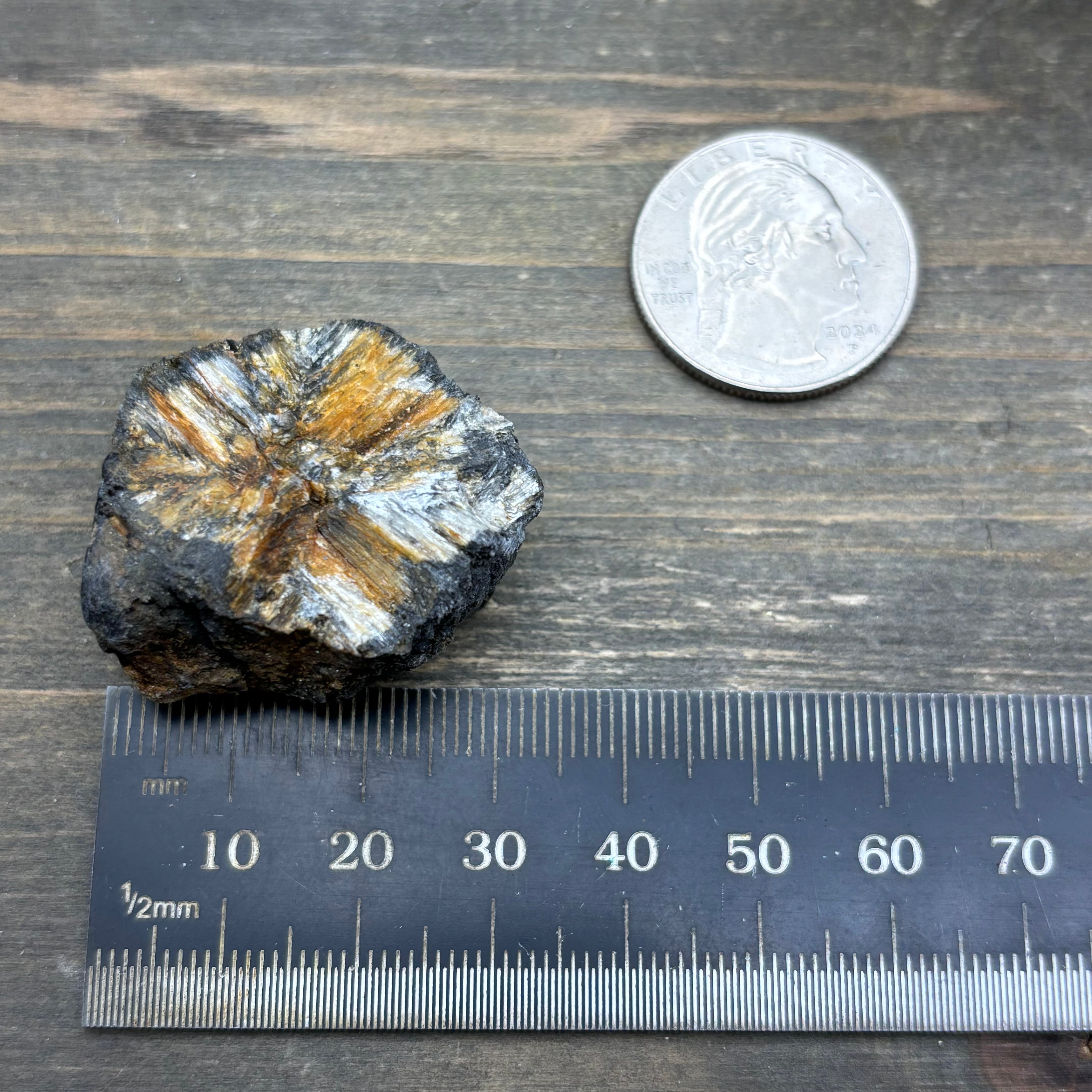Siberian Chiastolite - 033