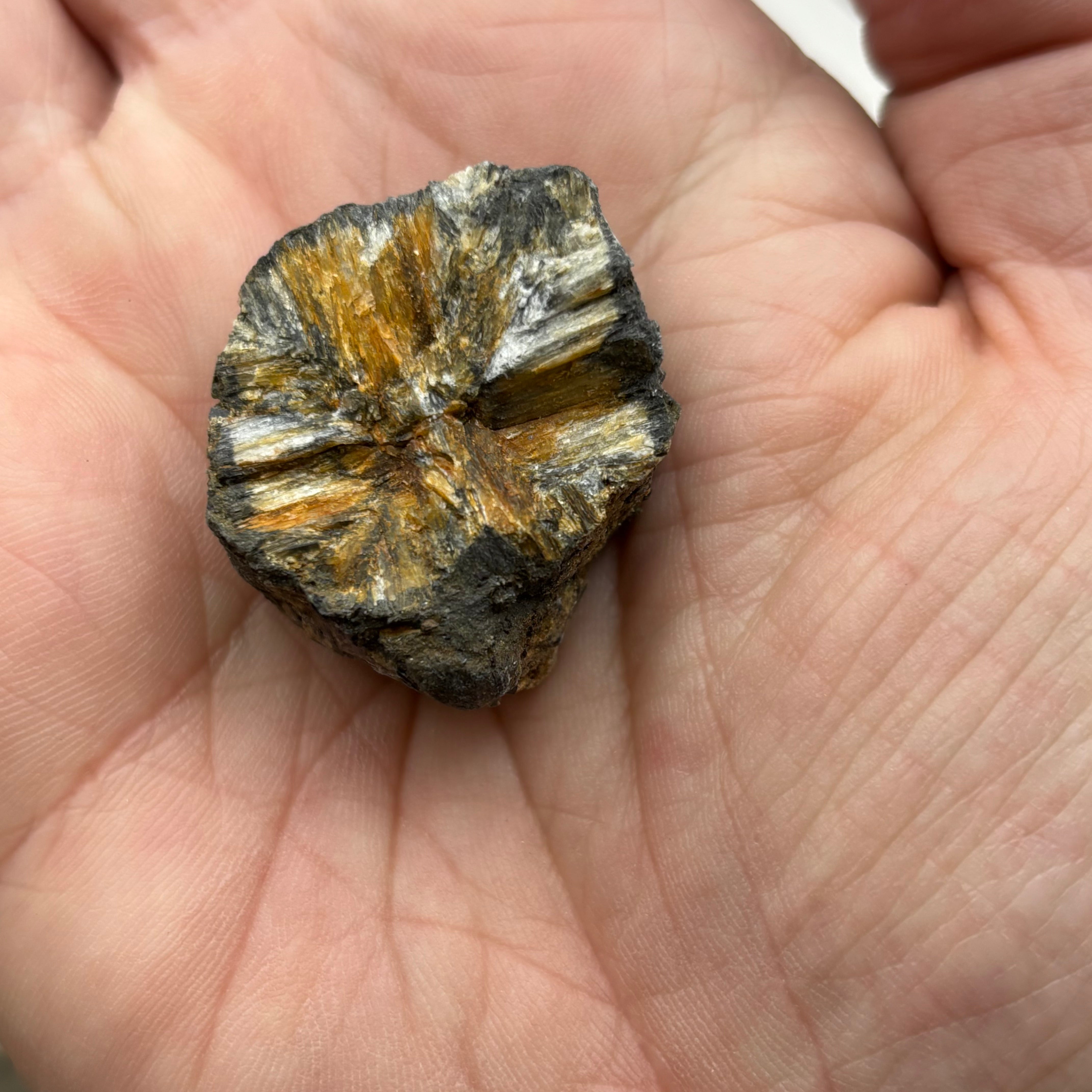 Siberian Chiastolite - 033