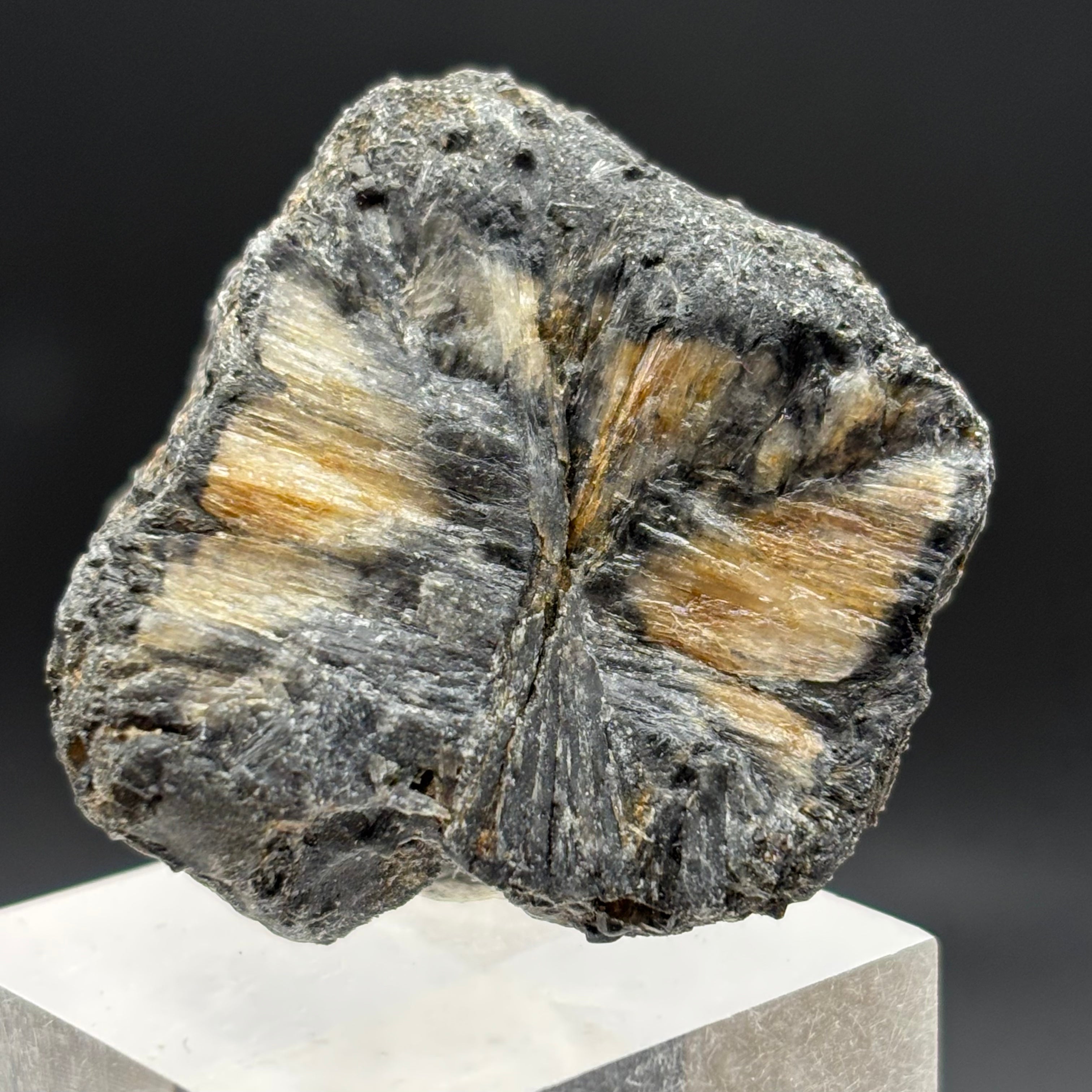 Siberian Chiastolite - 034