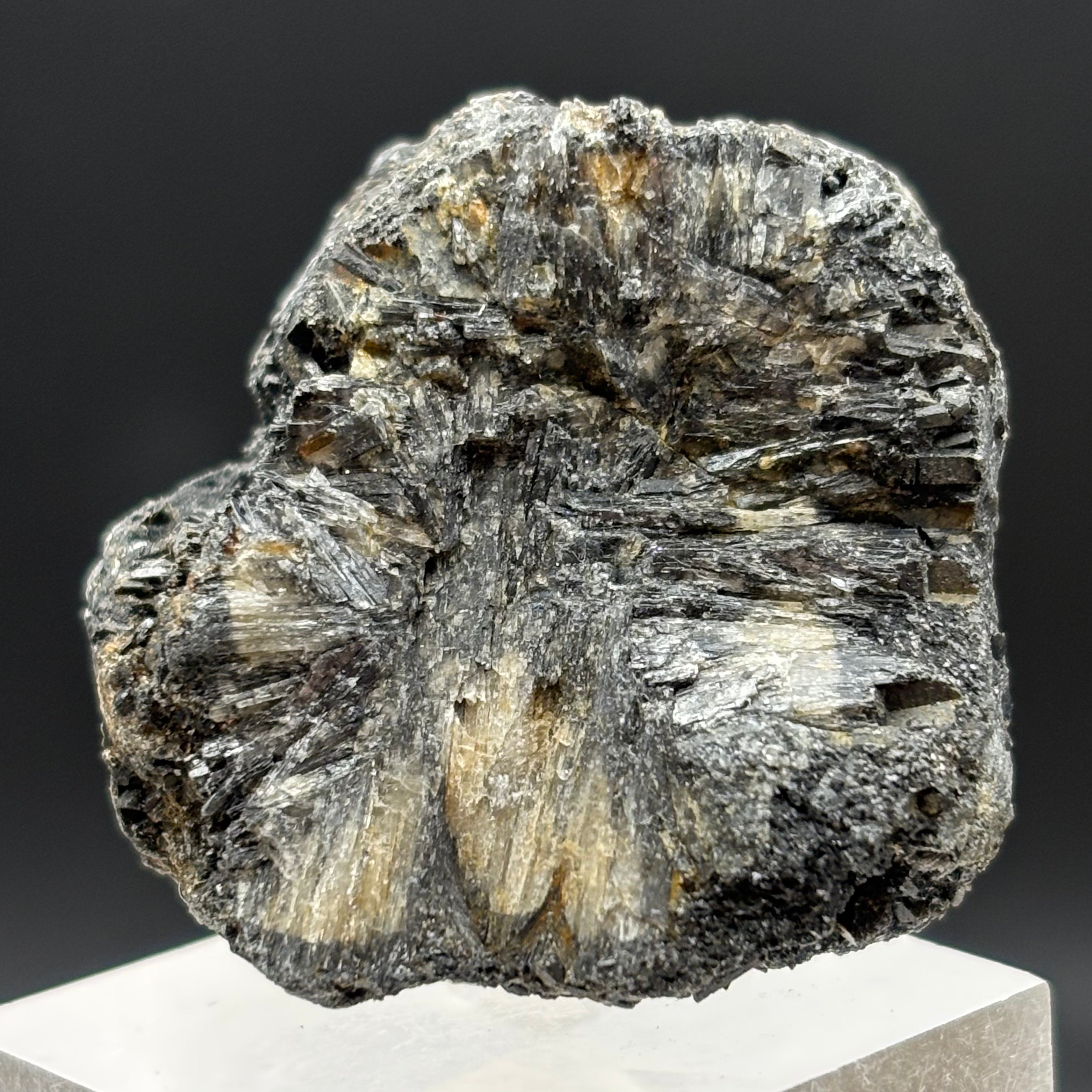 Siberian Chiastolite - 034