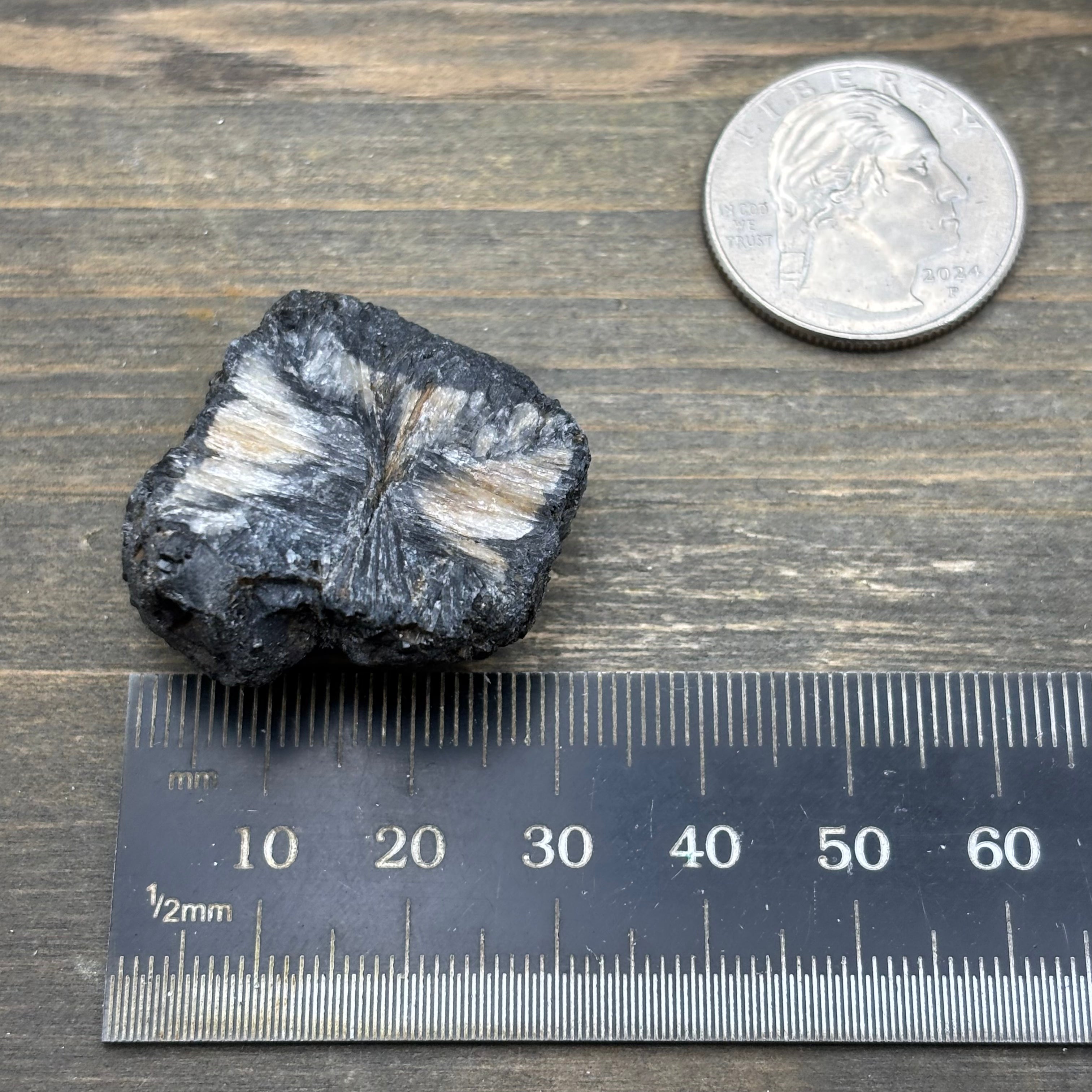 Siberian Chiastolite - 034