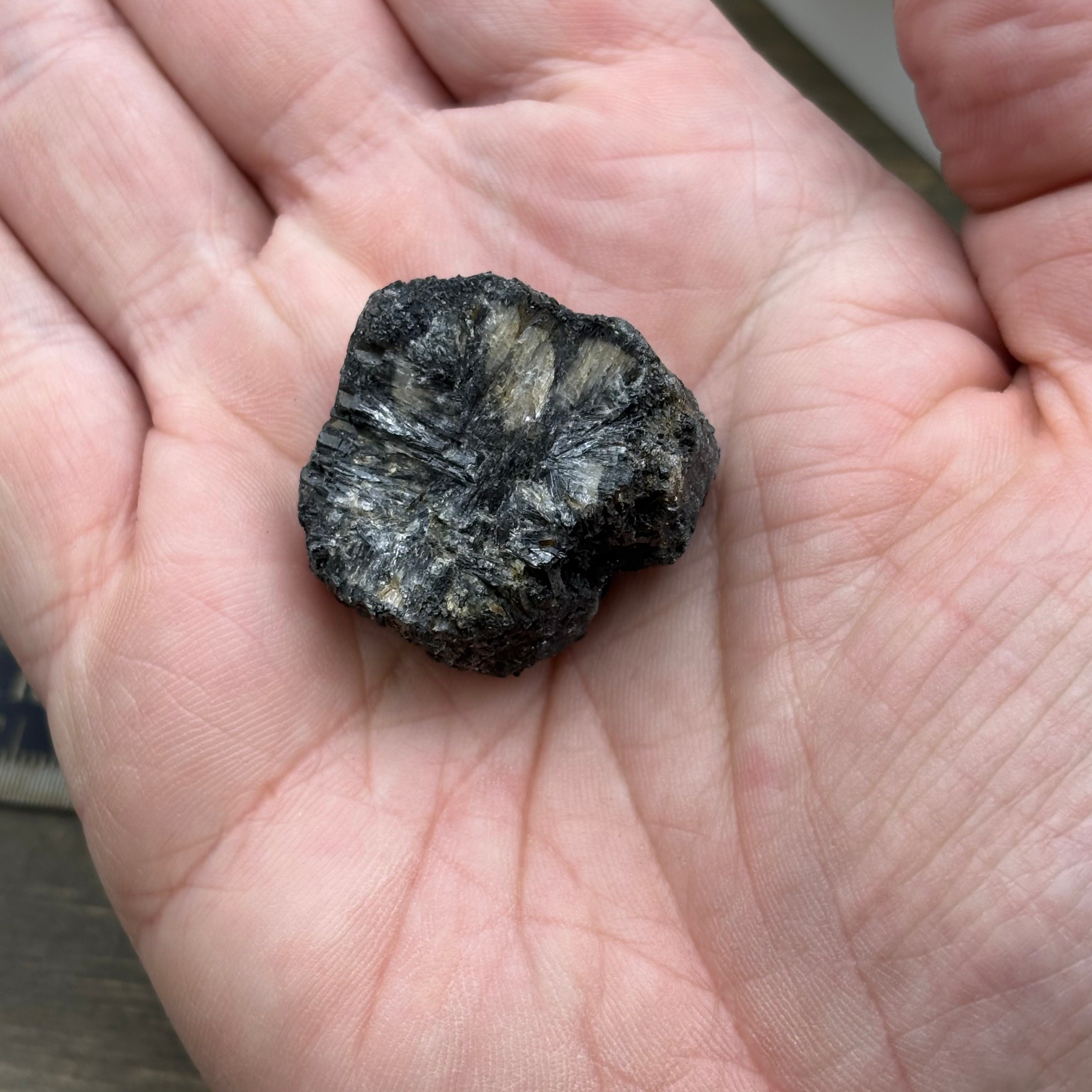 Siberian Chiastolite - 034