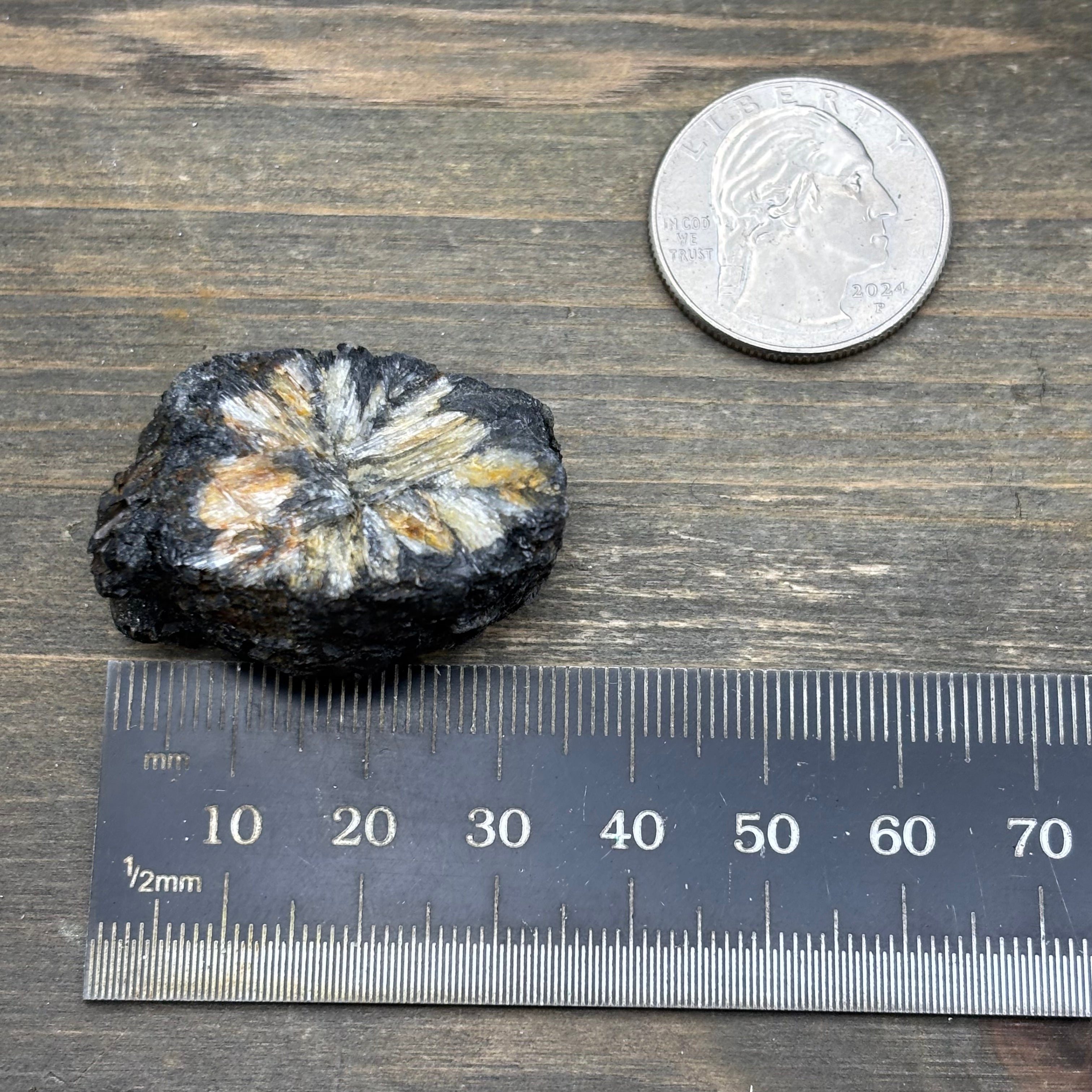 Siberian Chiastolite - 035