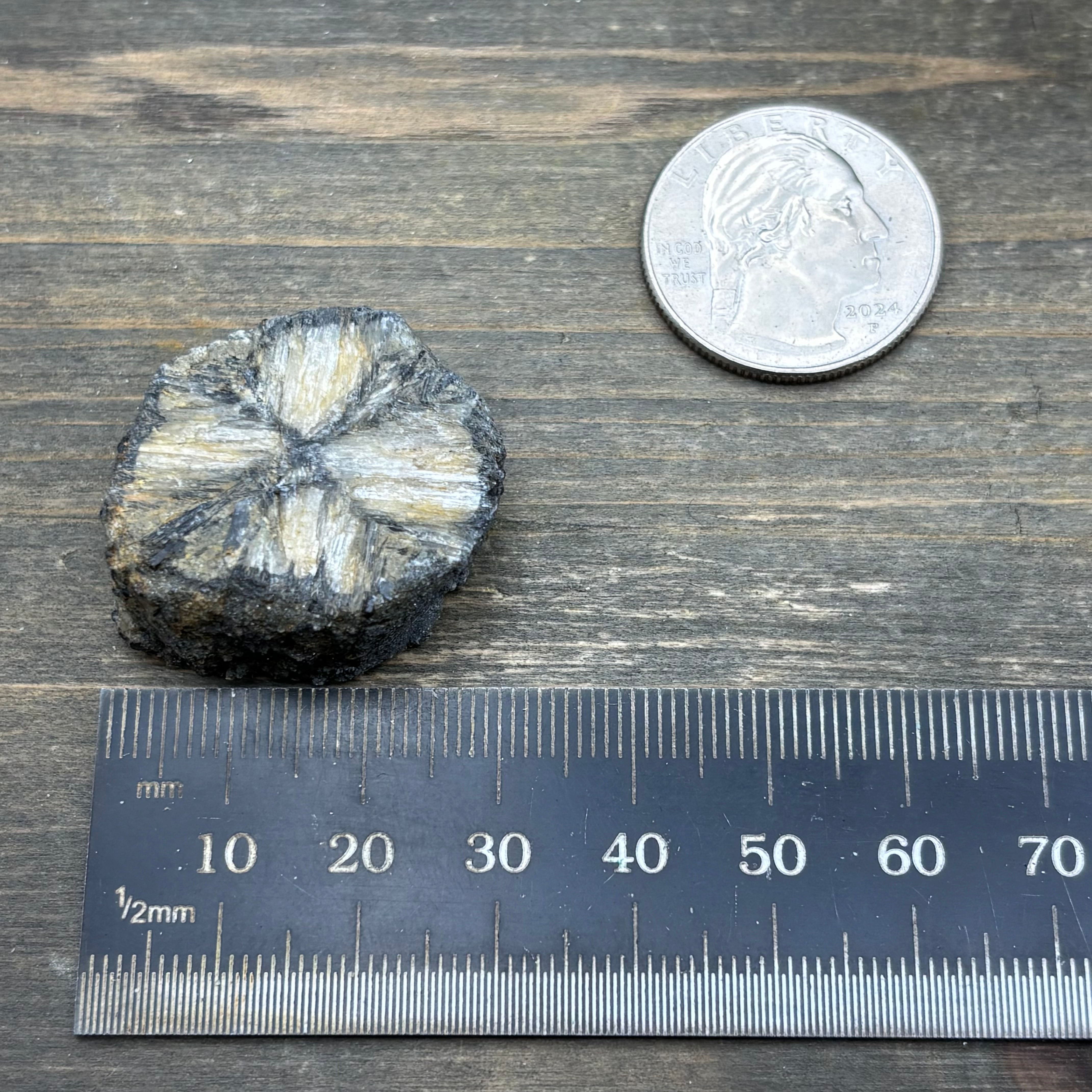 Siberian Chiastolite - 037