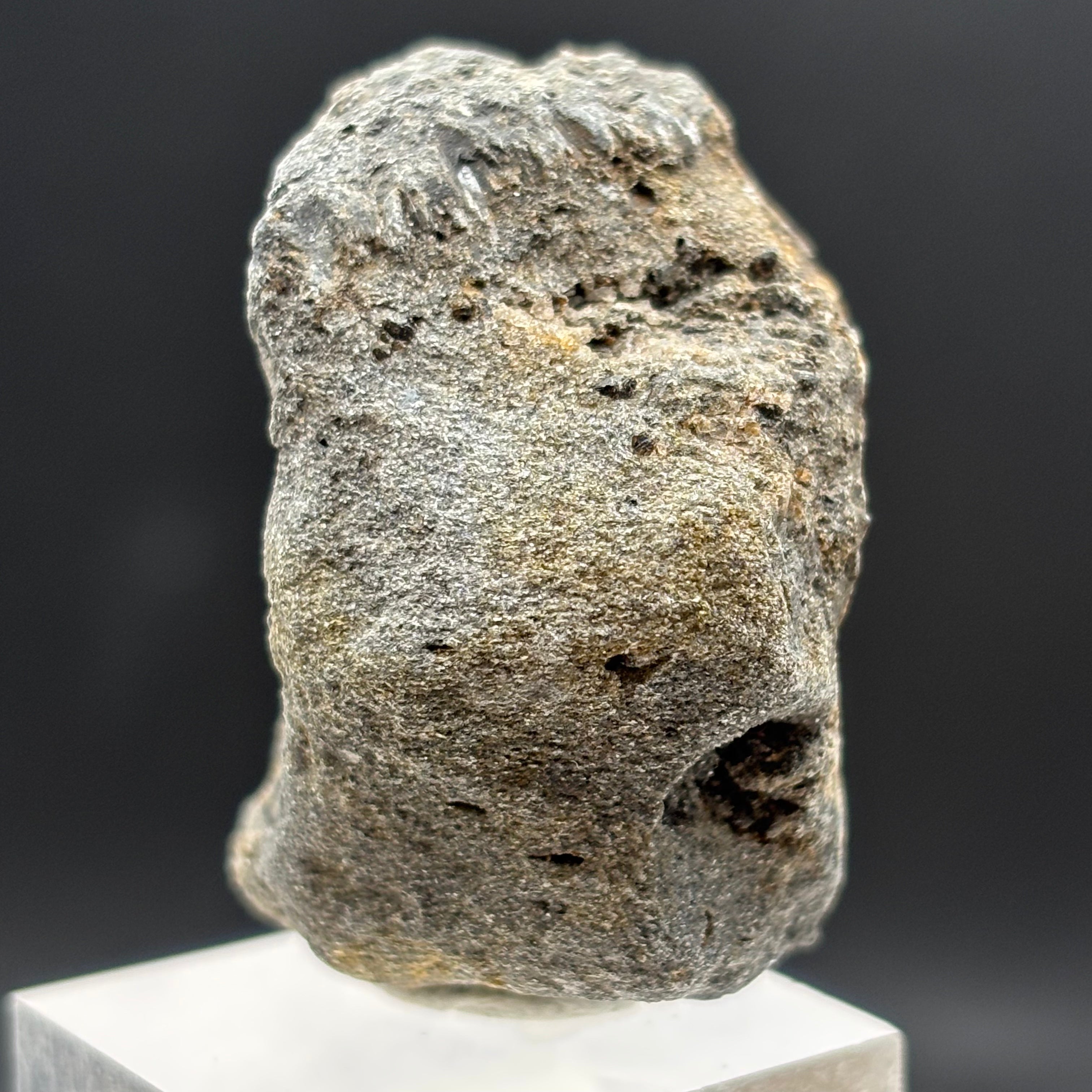 Siberian Chiastolite - 038