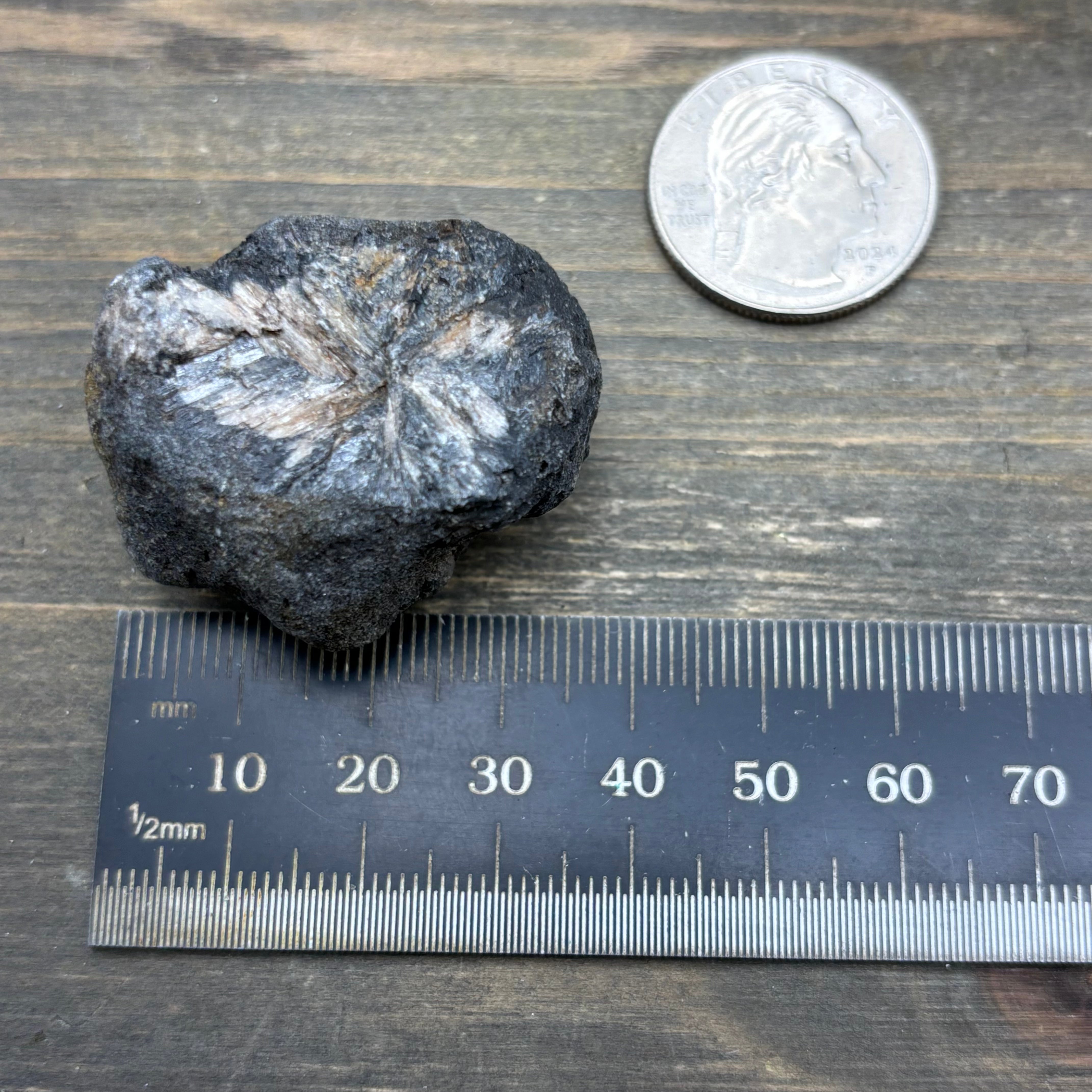 Siberian Chiastolite - 038